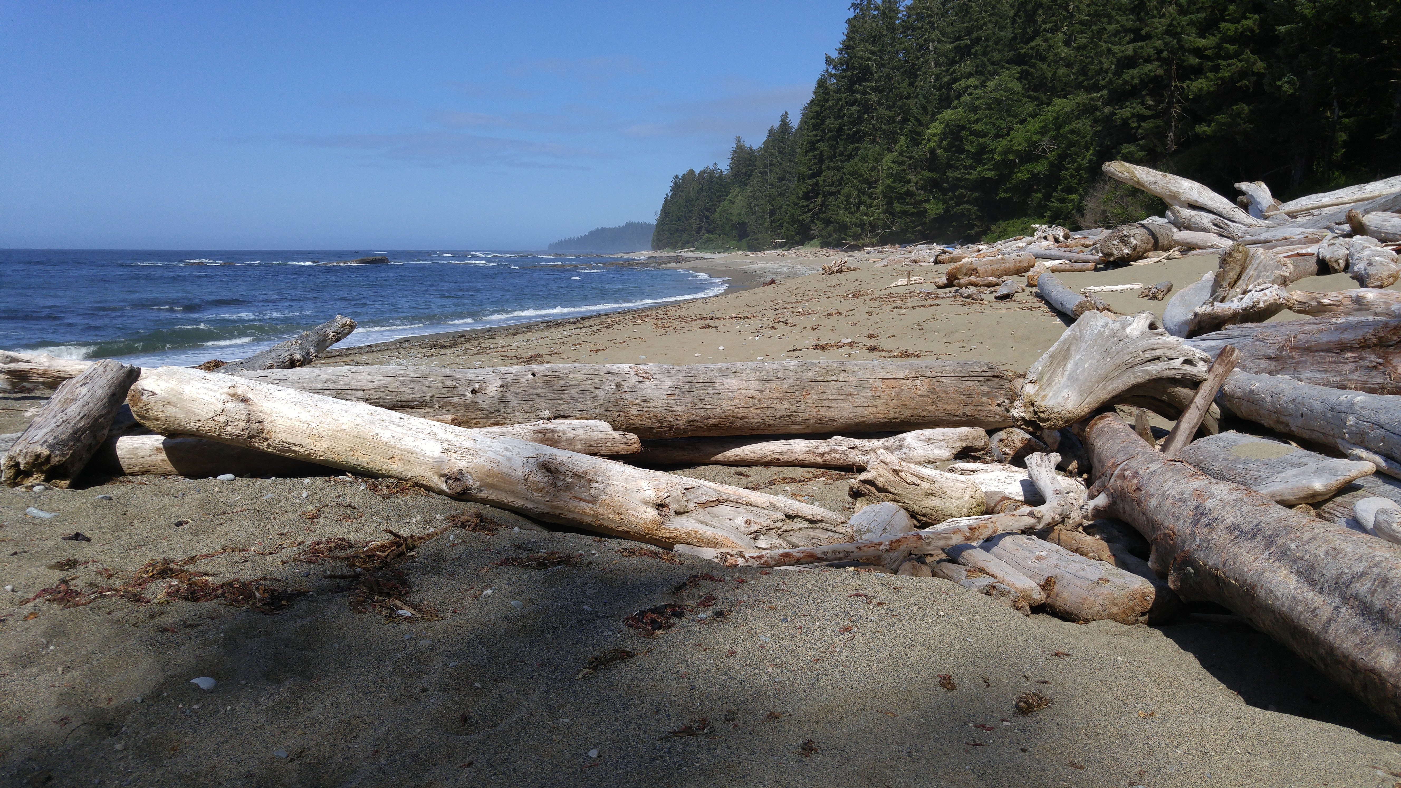 West Coast Trail — D2 — Michigan Creek Camp → Tsusiay Lake Camp