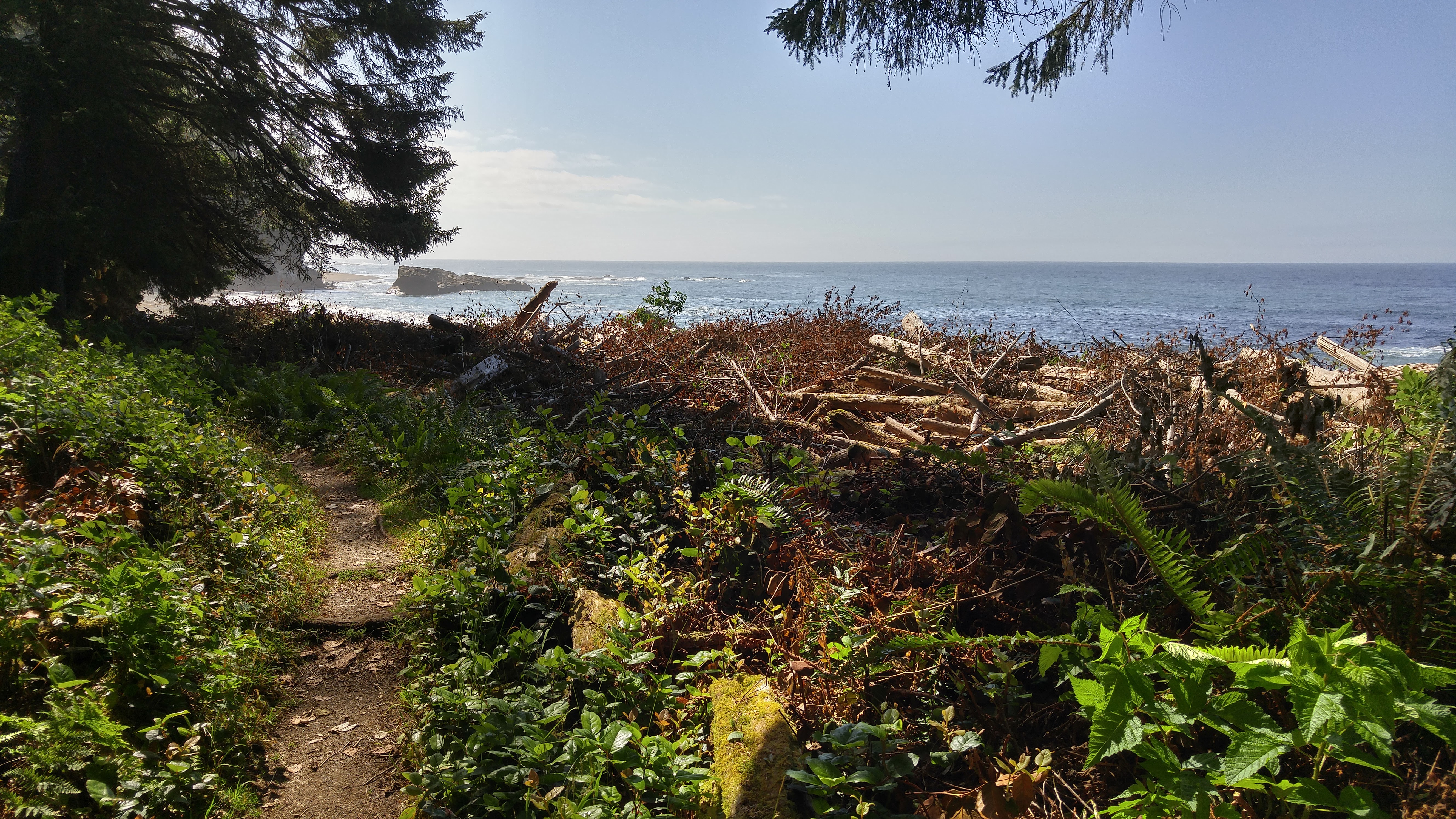 West Coast Trail — D2 — Michigan Creek Camp → Tsusiay Lake Camp