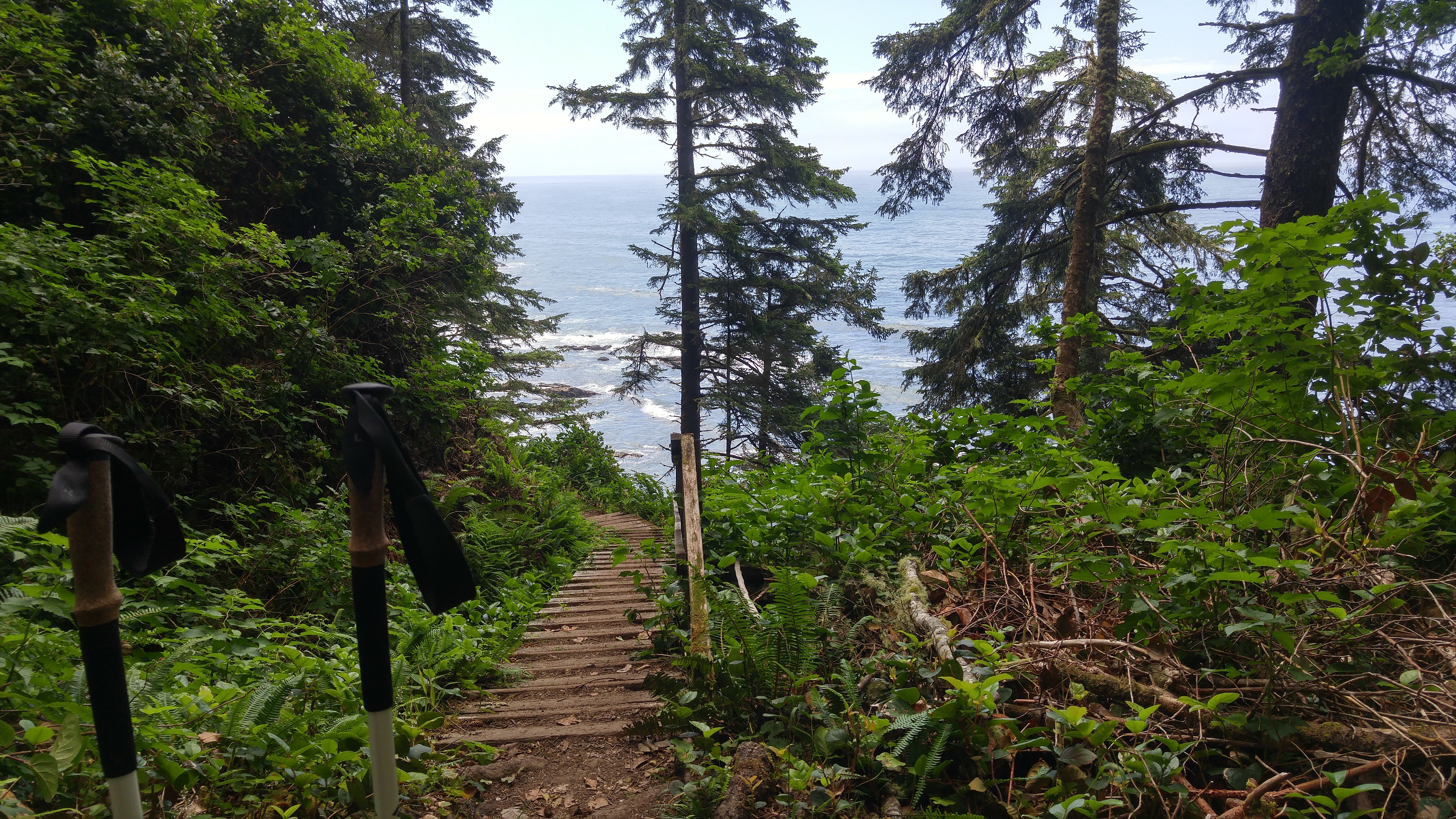 West Coast Trail — D2 — Michigan Creek Camp → Tsusiay Lake Camp
