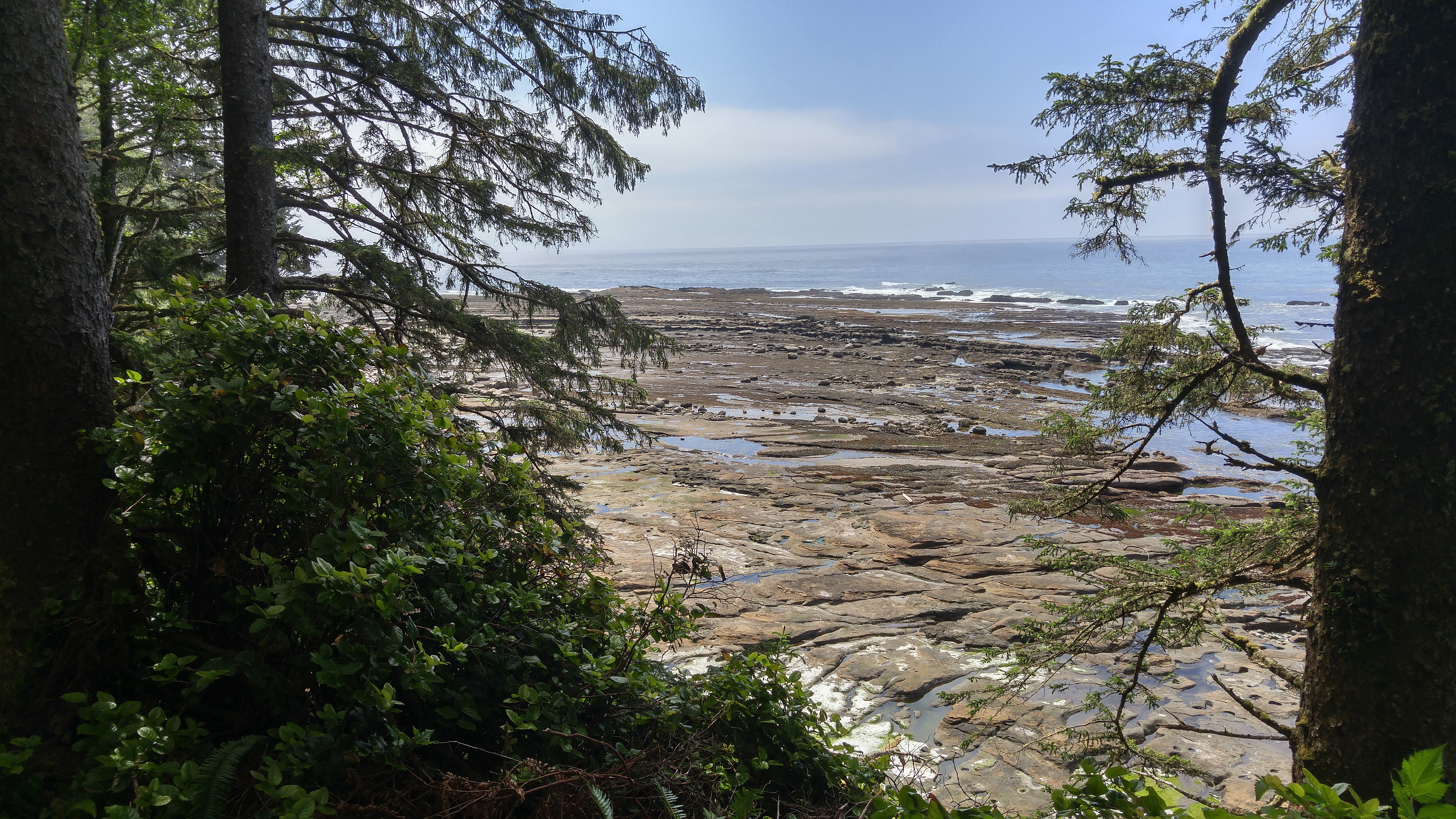 West Coast Trail — D2 — Michigan Creek Camp → Tsusiay Lake Camp