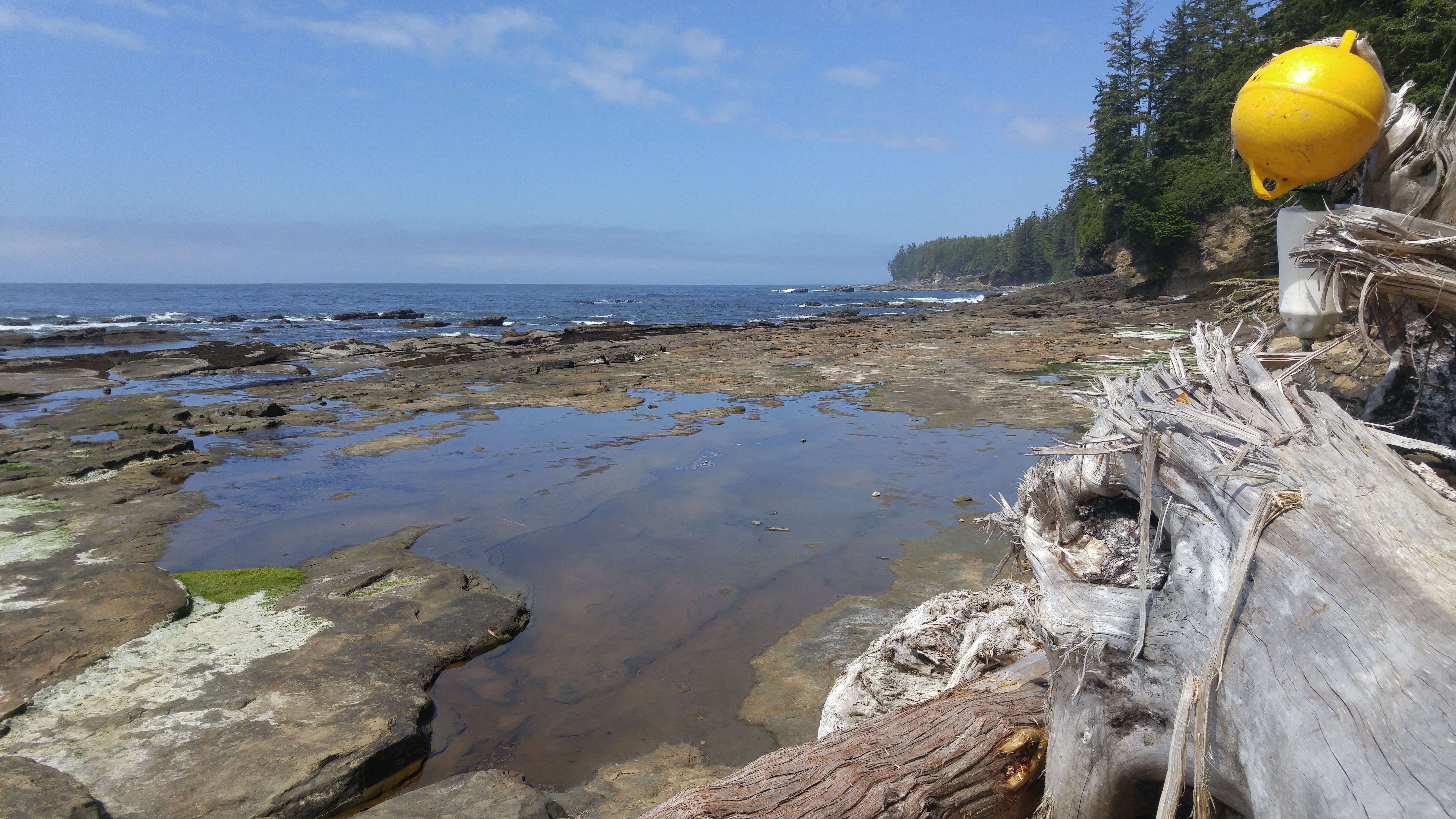 West Coast Trail — D2 — Michigan Creek Camp → Tsusiay Lake Camp