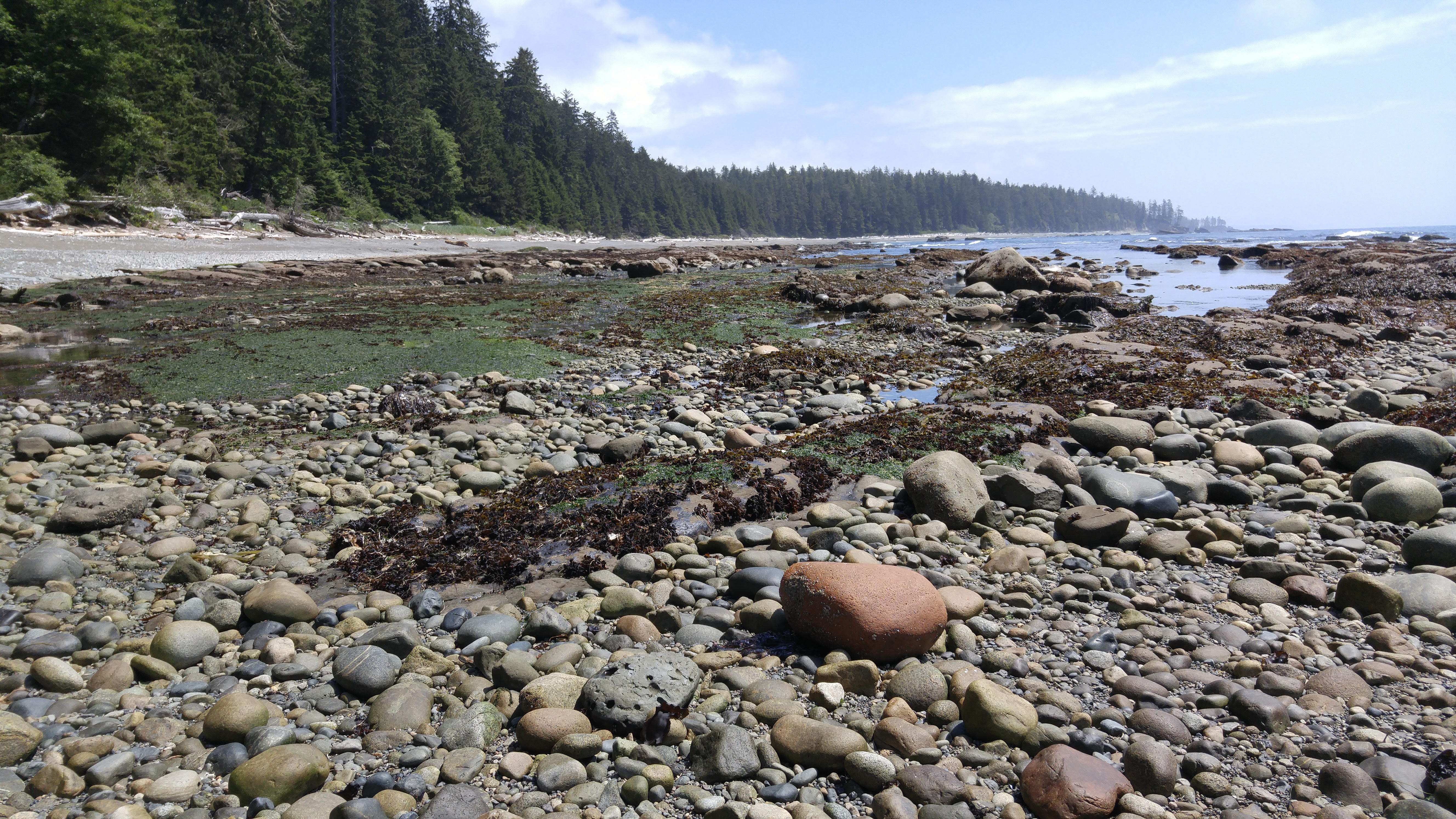 West Coast Trail — D2 — Michigan Creek Camp → Tsusiay Lake Camp
