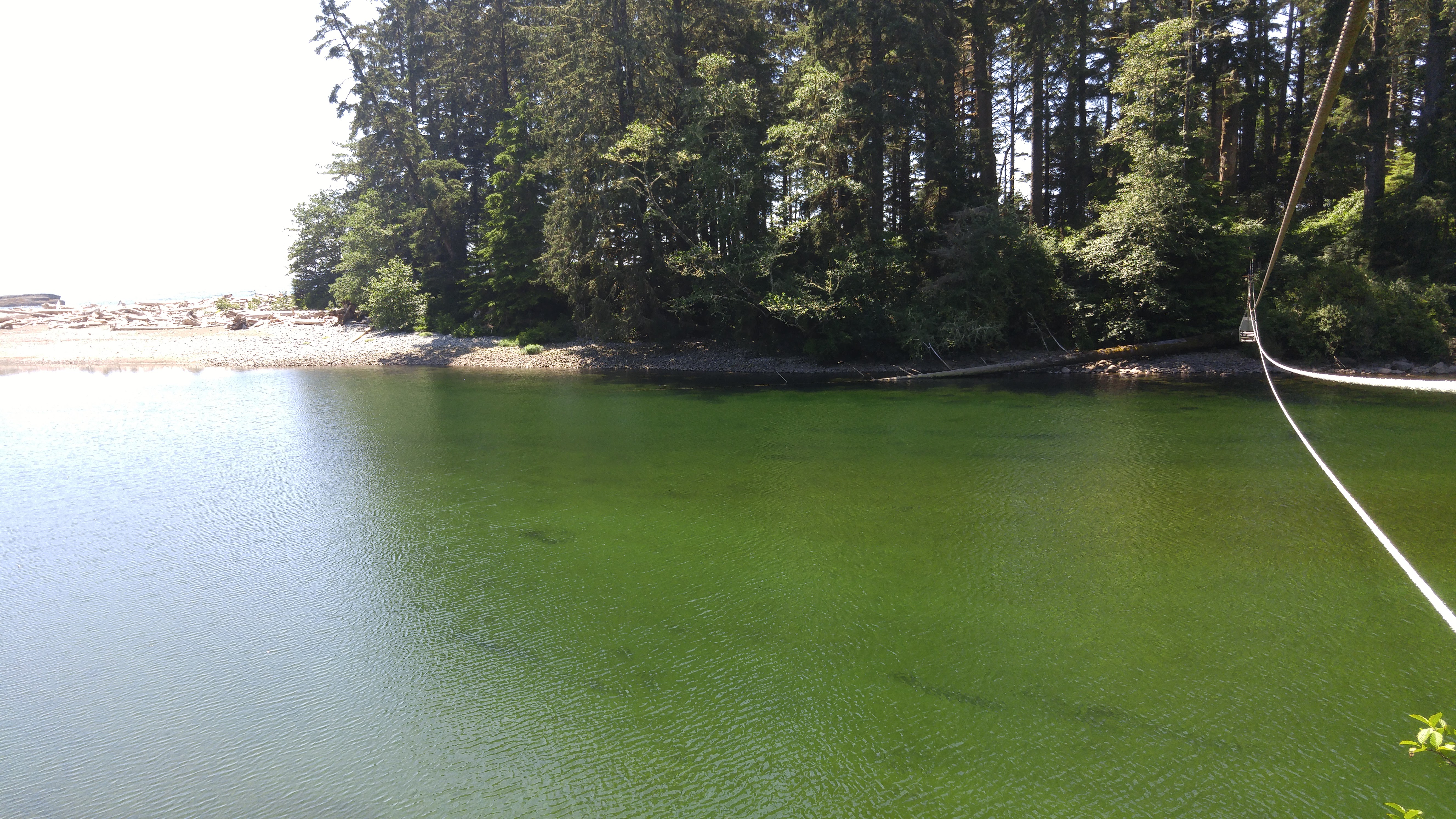 West Coast Trail — D2 — Michigan Creek Camp → Tsusiay Lake Camp