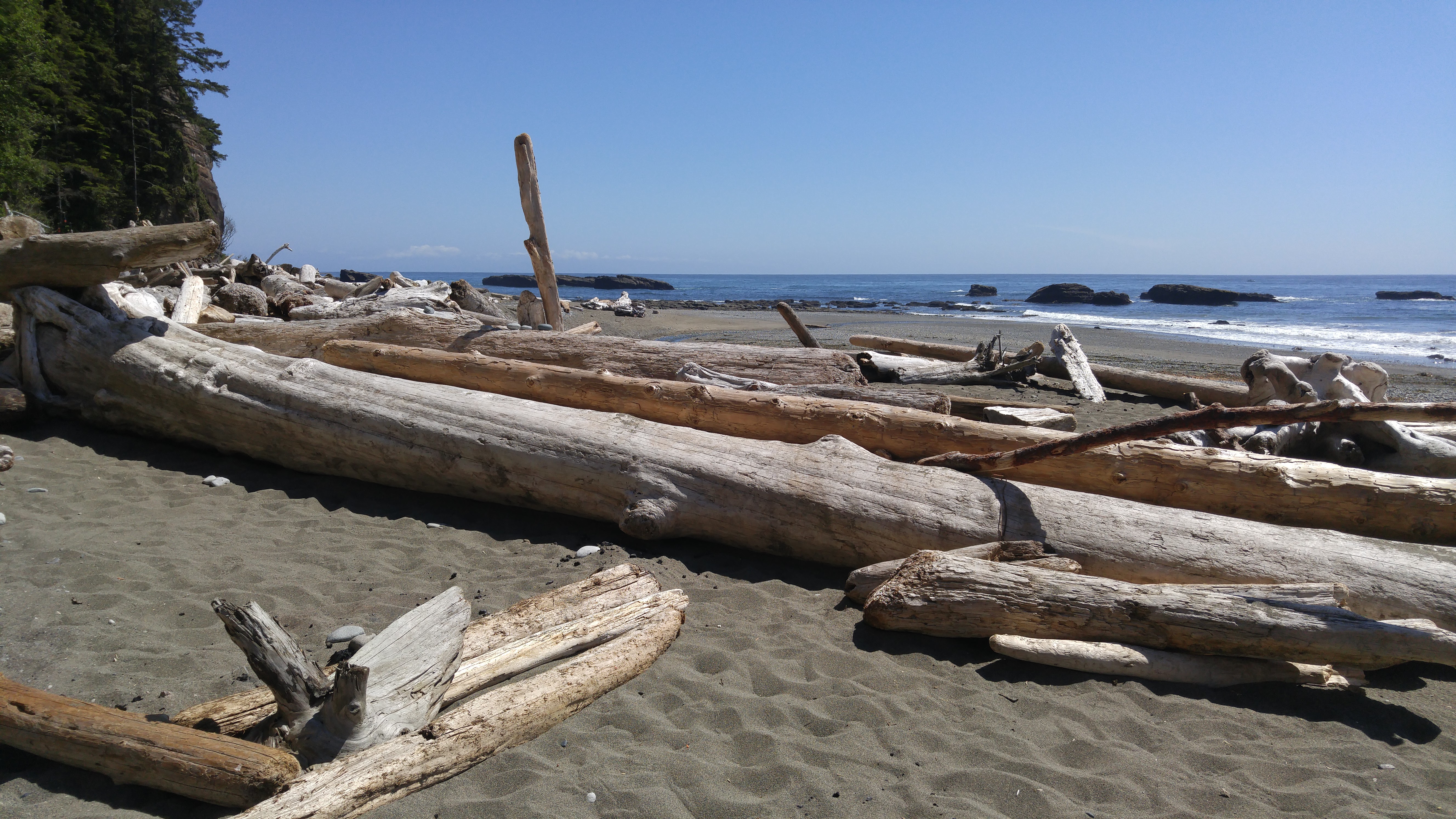 West Coast Trail — D2 — Michigan Creek Camp → Tsusiay Lake Camp