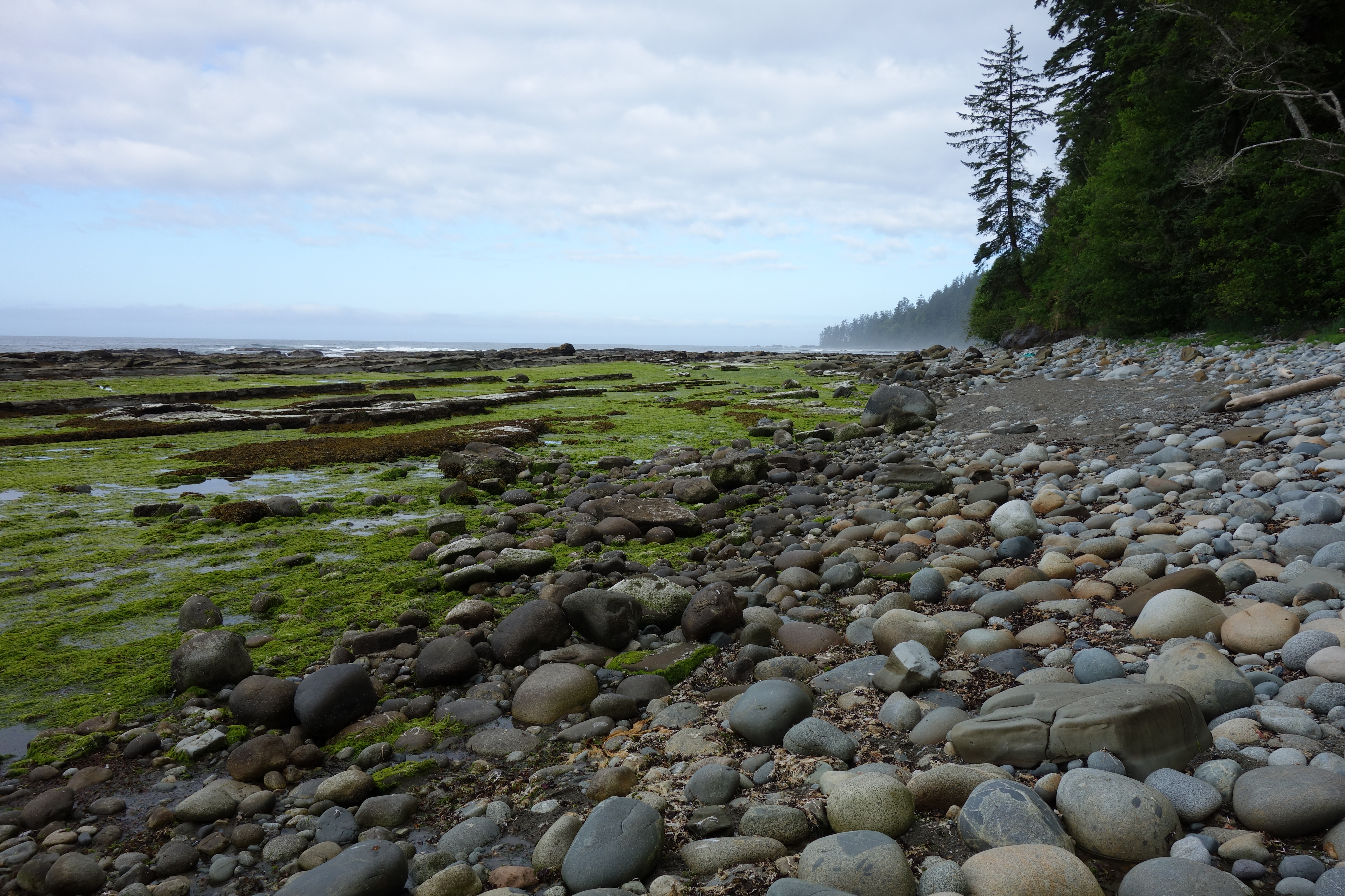West Coast Trail — D2 — Michigan Creek Camp → Tsusiay Lake Camp