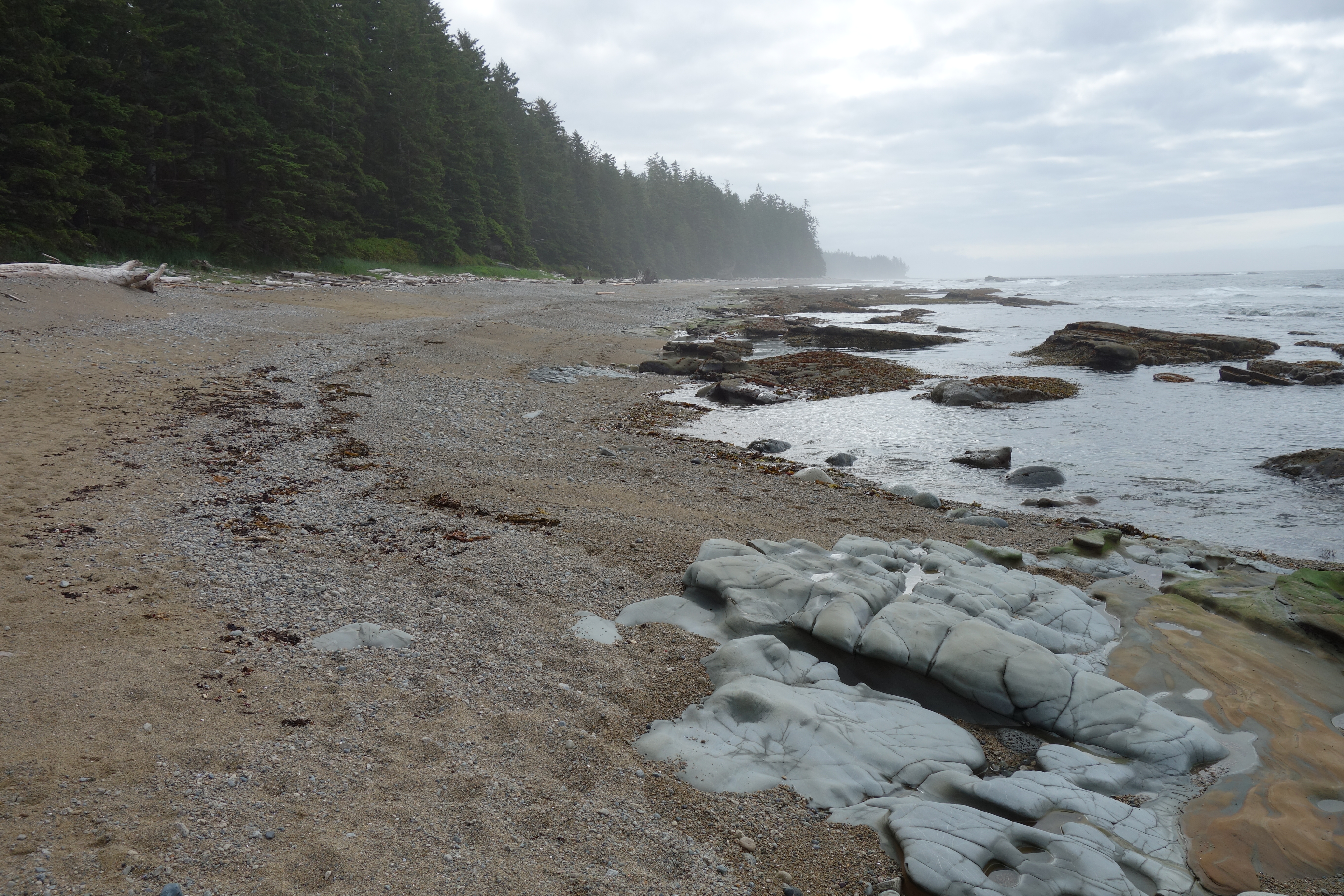 West Coast Trail — D2 — Michigan Creek Camp → Tsusiay Lake Camp