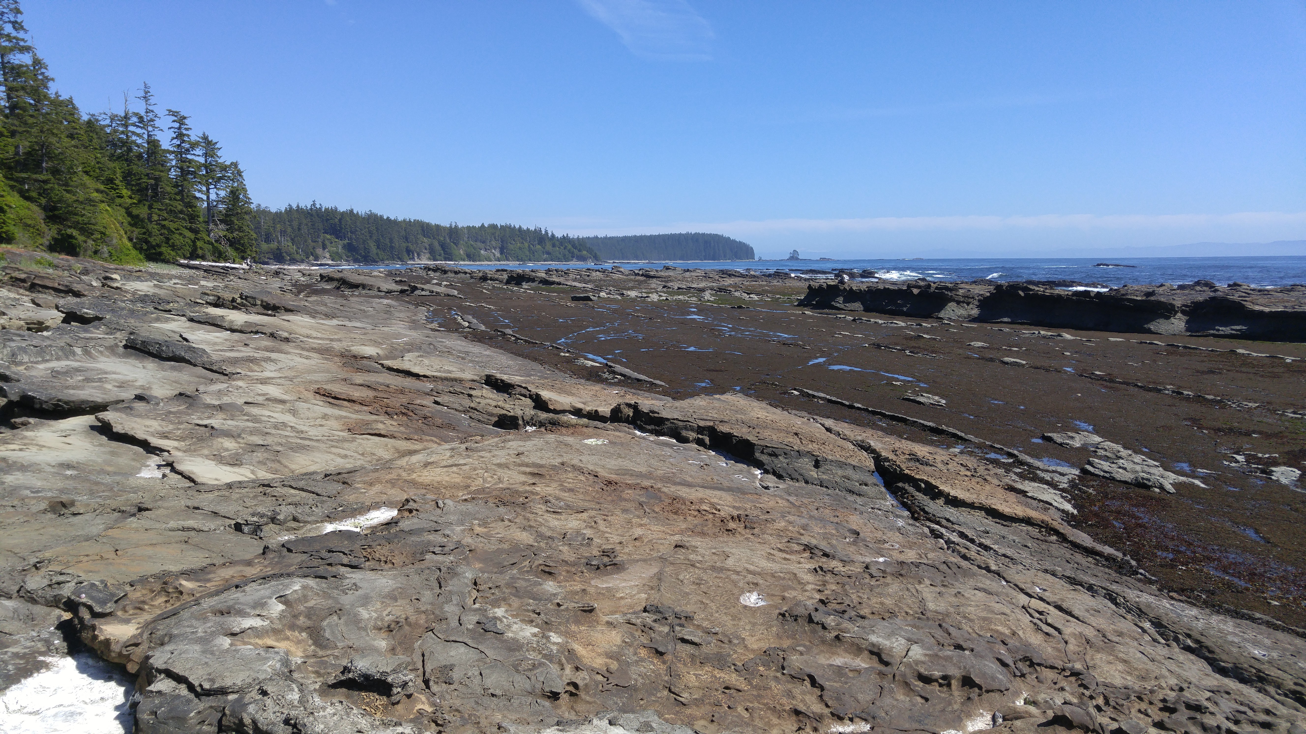 West Coast Trail — D3 — Tsusiay Lake Camp → Cribs Creek Camp