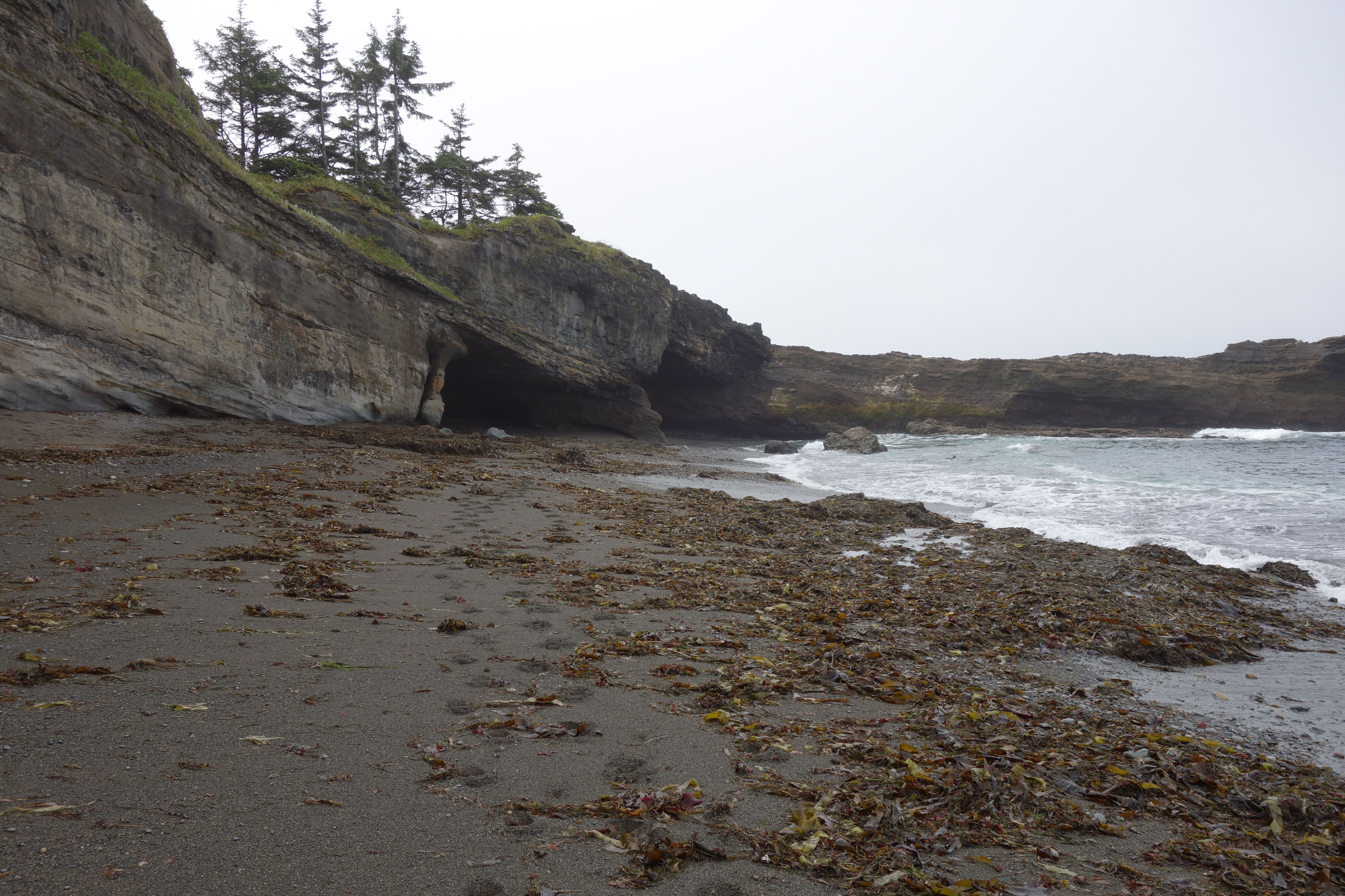 West Coast Trail — D3 — Tsusiay Lake Camp → Cribs Creek Camp