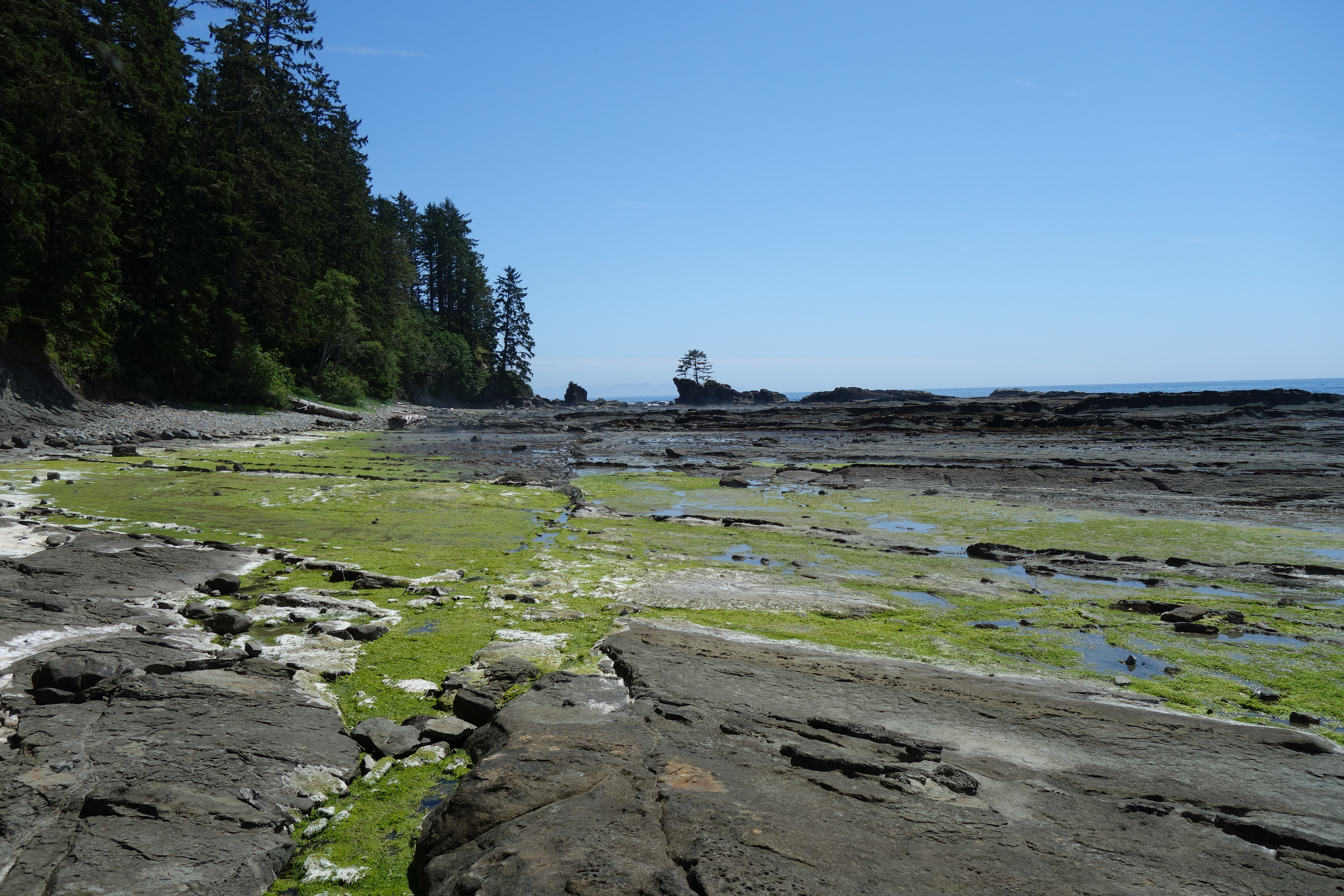 West Coast Trail — D3 — Tsusiay Lake Camp → Cribs Creek Camp