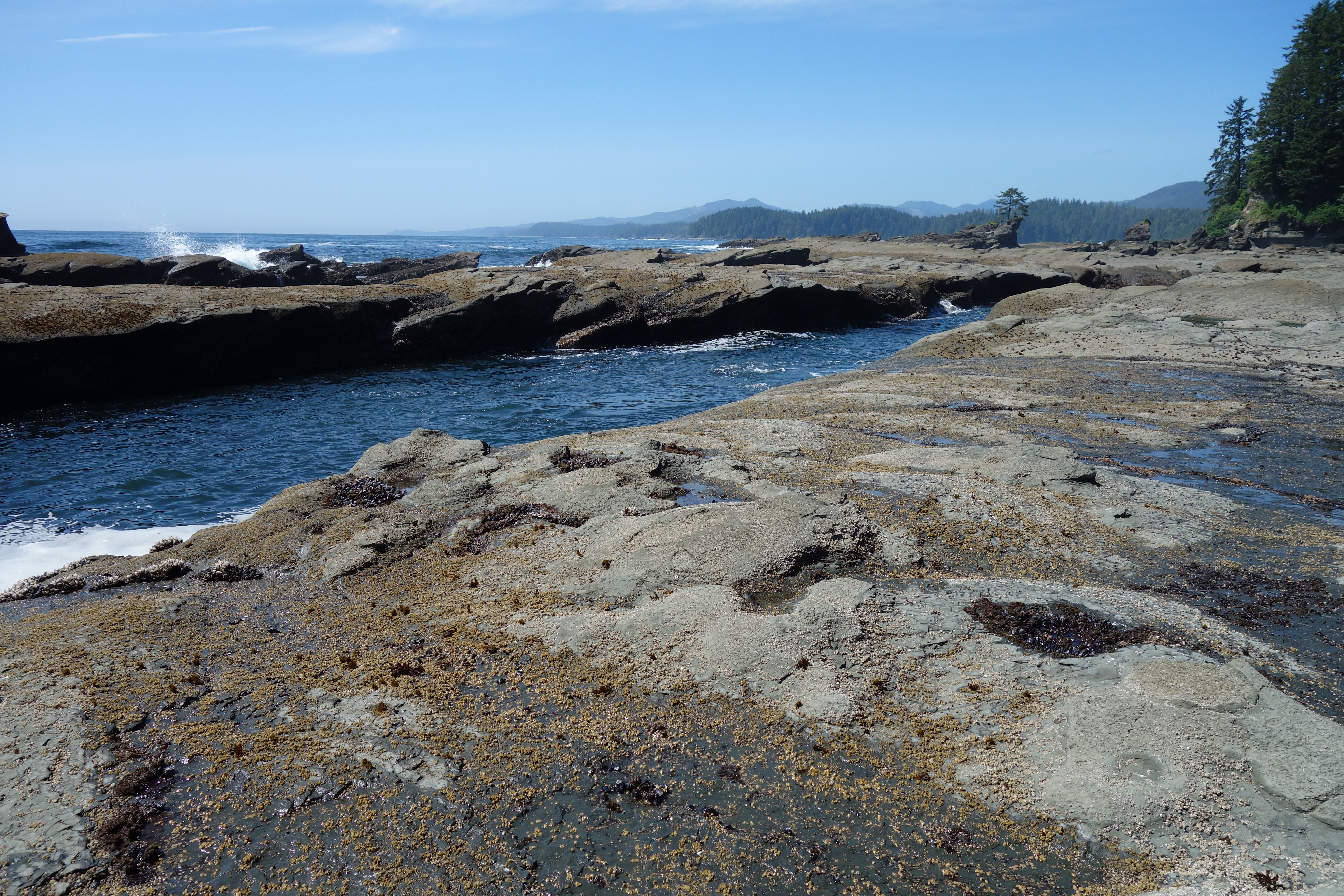 West Coast Trail — D3 — Tsusiay Lake Camp → Cribs Creek Camp