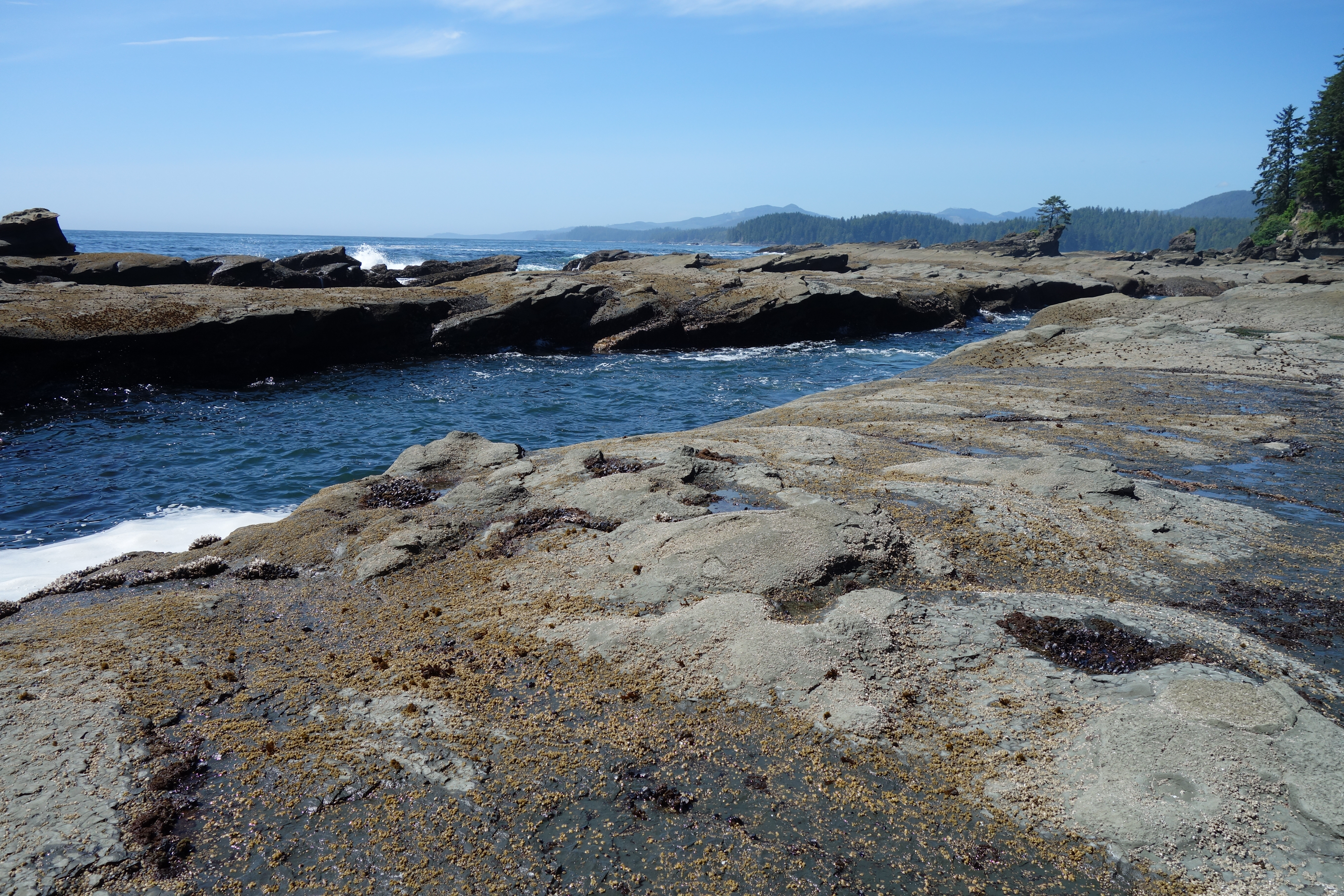 West Coast Trail — D3 — Tsusiay Lake Camp → Cribs Creek Camp
