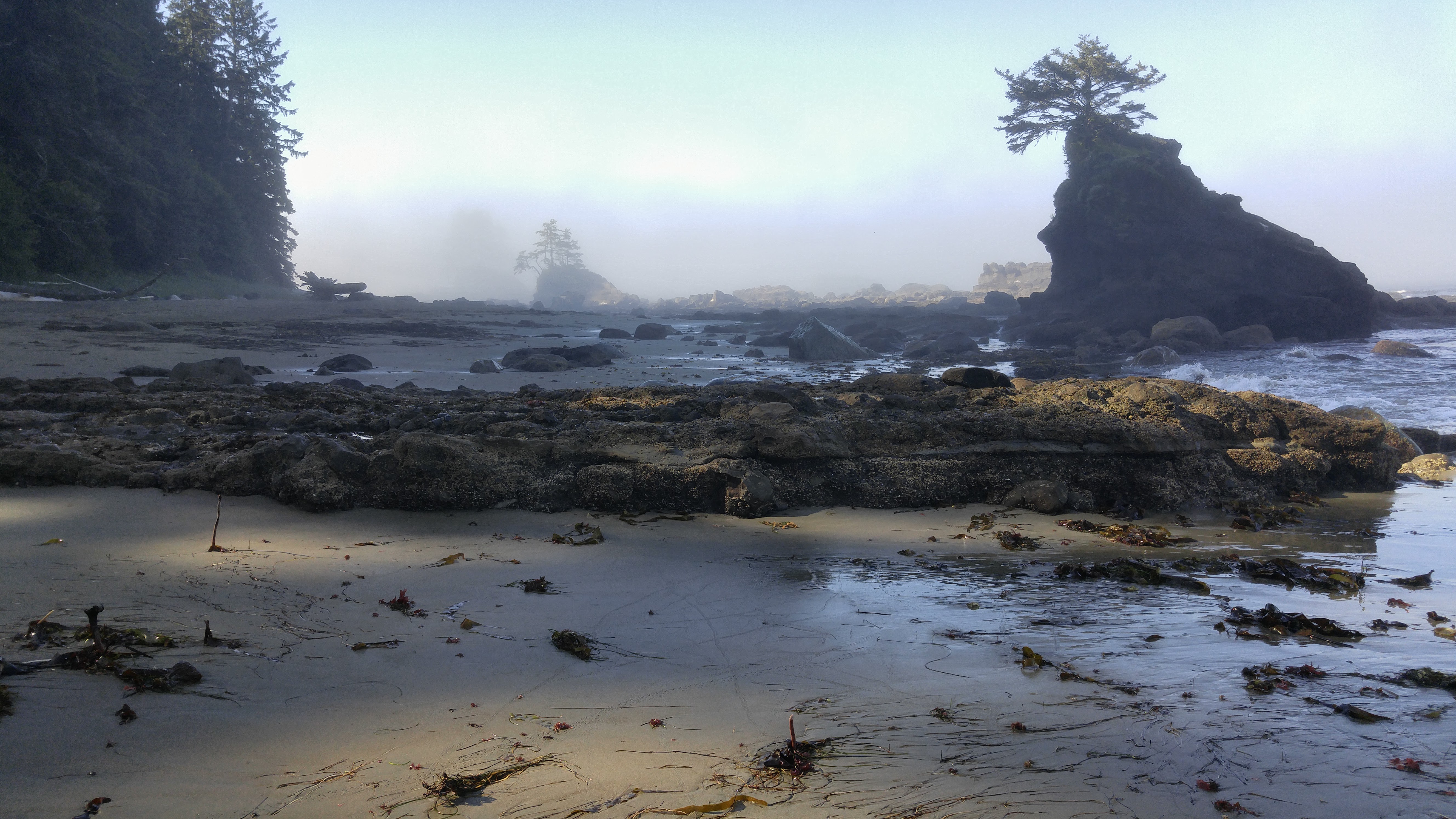 West Coast Trail — D4 — Cribs Creek Camp → Cullite Creek Camp