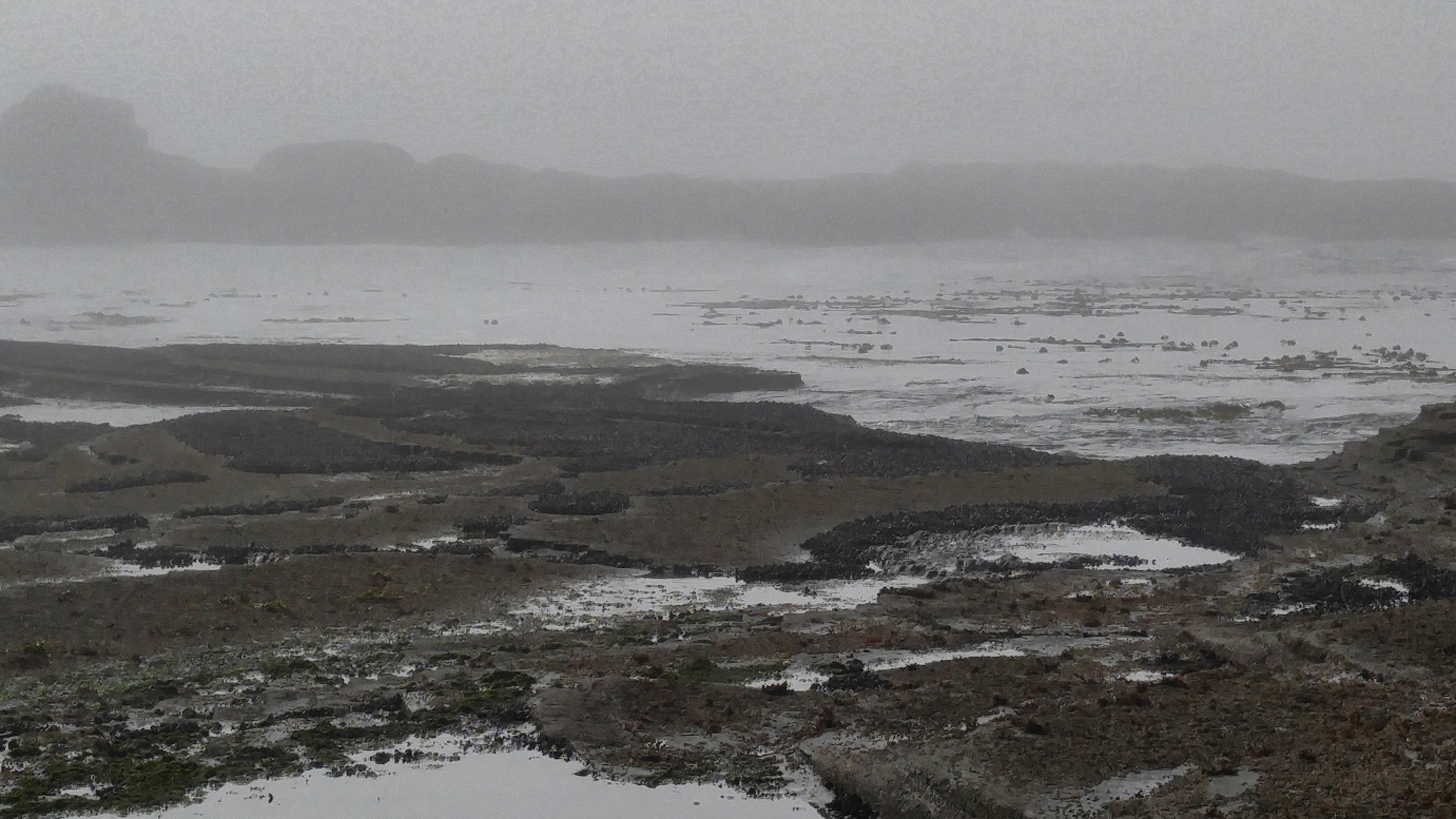 West Coast Trail — D4 — Cribs Creek Camp → Cullite Creek Camp