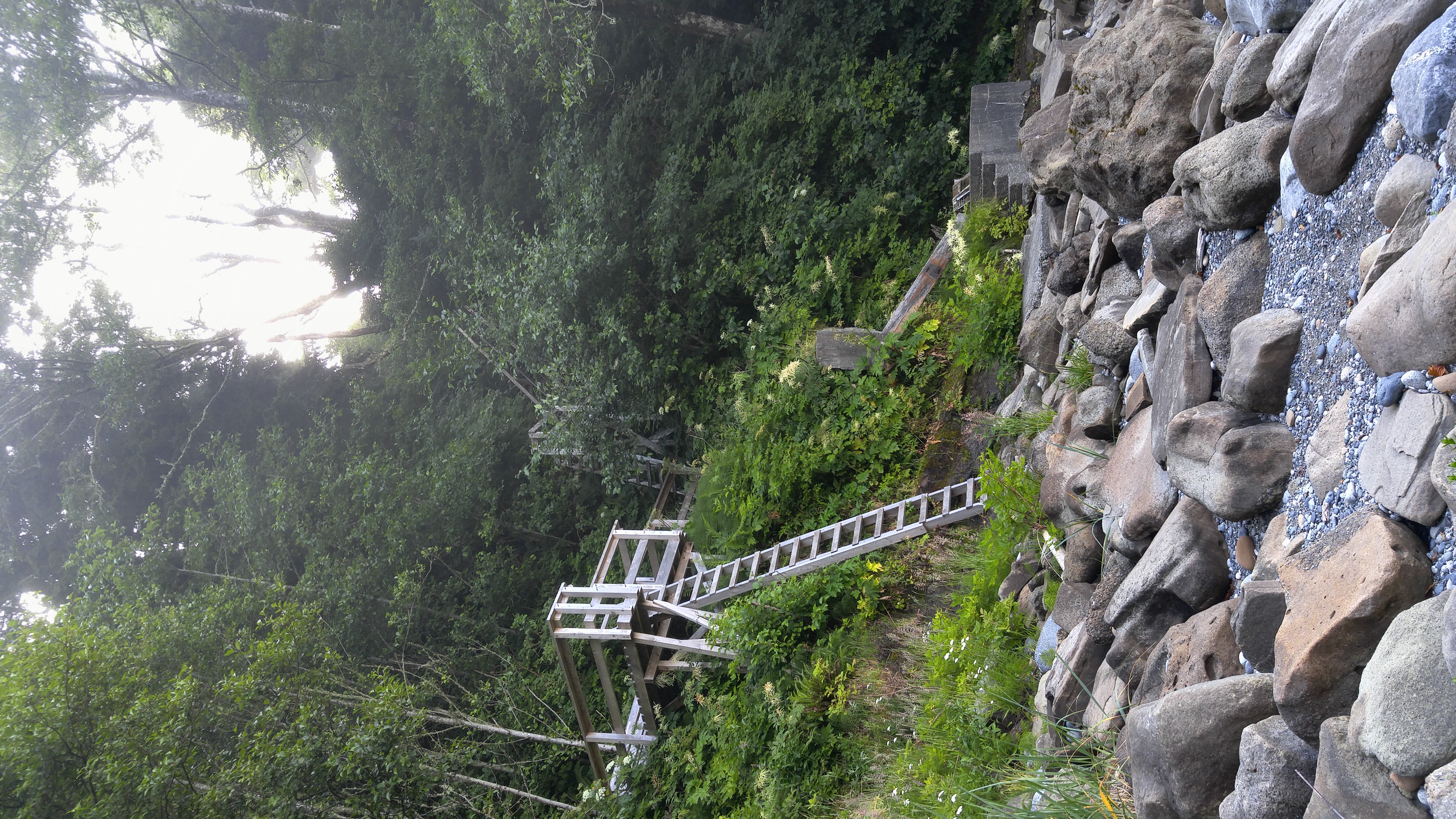 West Coast Trail — D4 — Cribs Creek Camp → Cullite Creek Camp