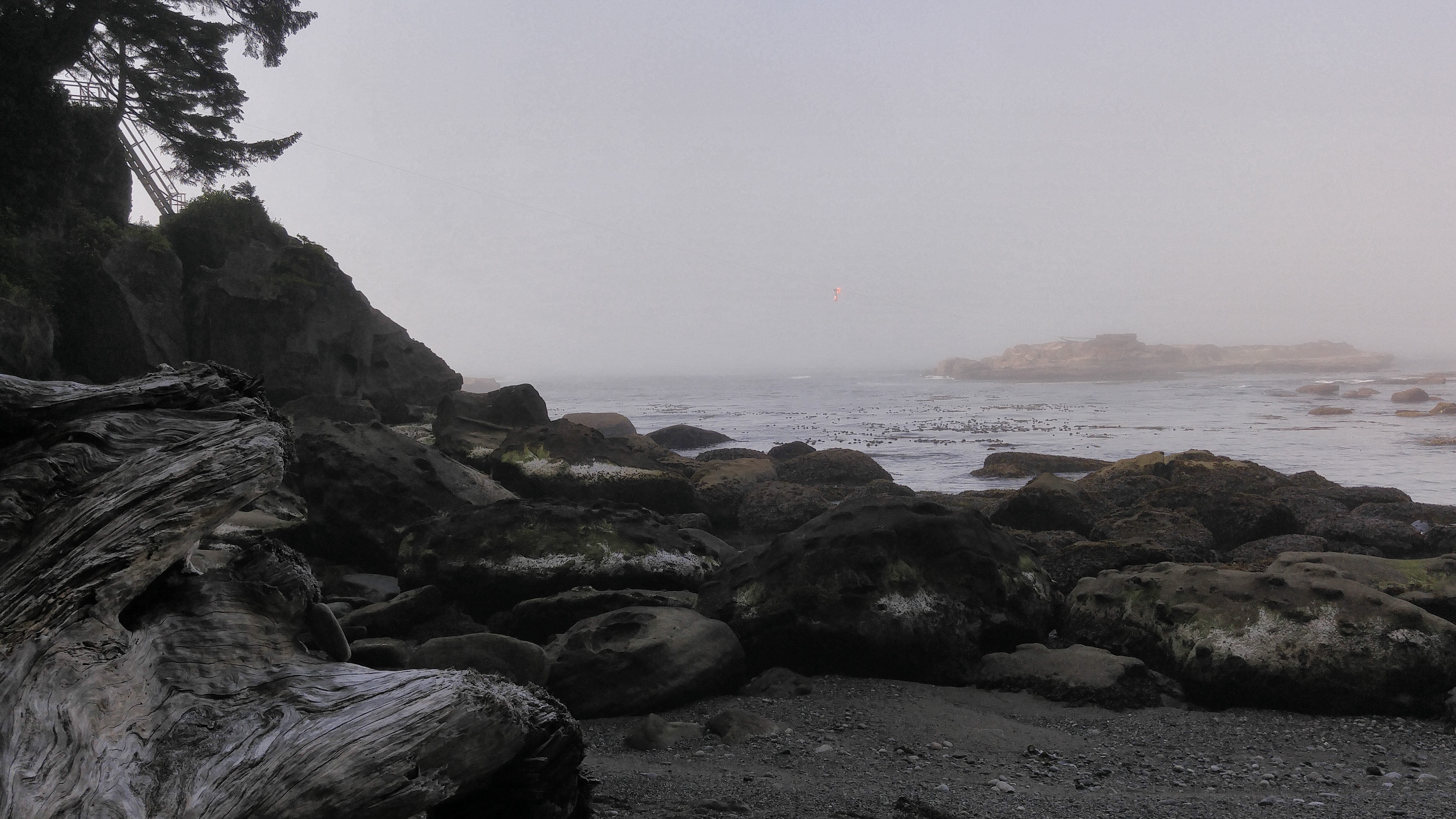 West Coast Trail — D4 — Cribs Creek Camp → Cullite Creek Camp