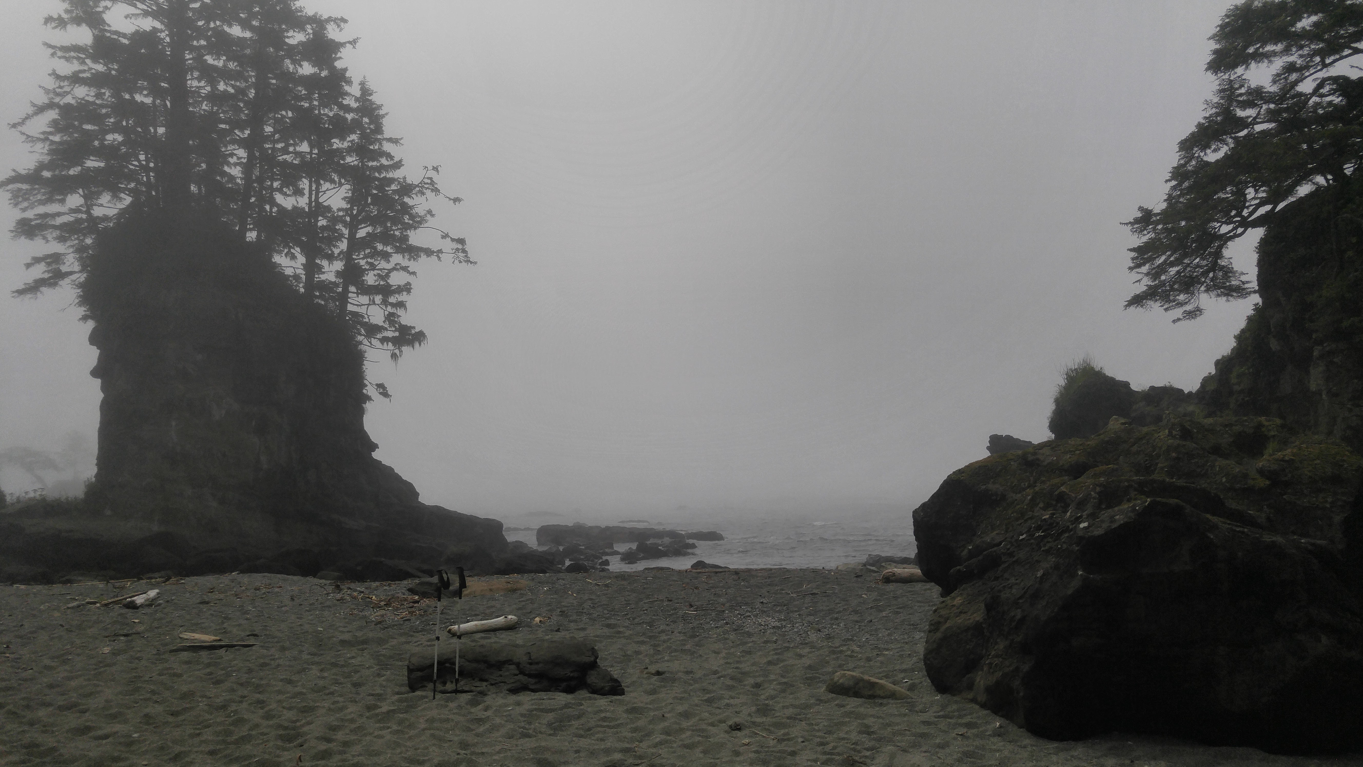 West Coast Trail — D4 — Cribs Creek Camp → Cullite Creek Camp