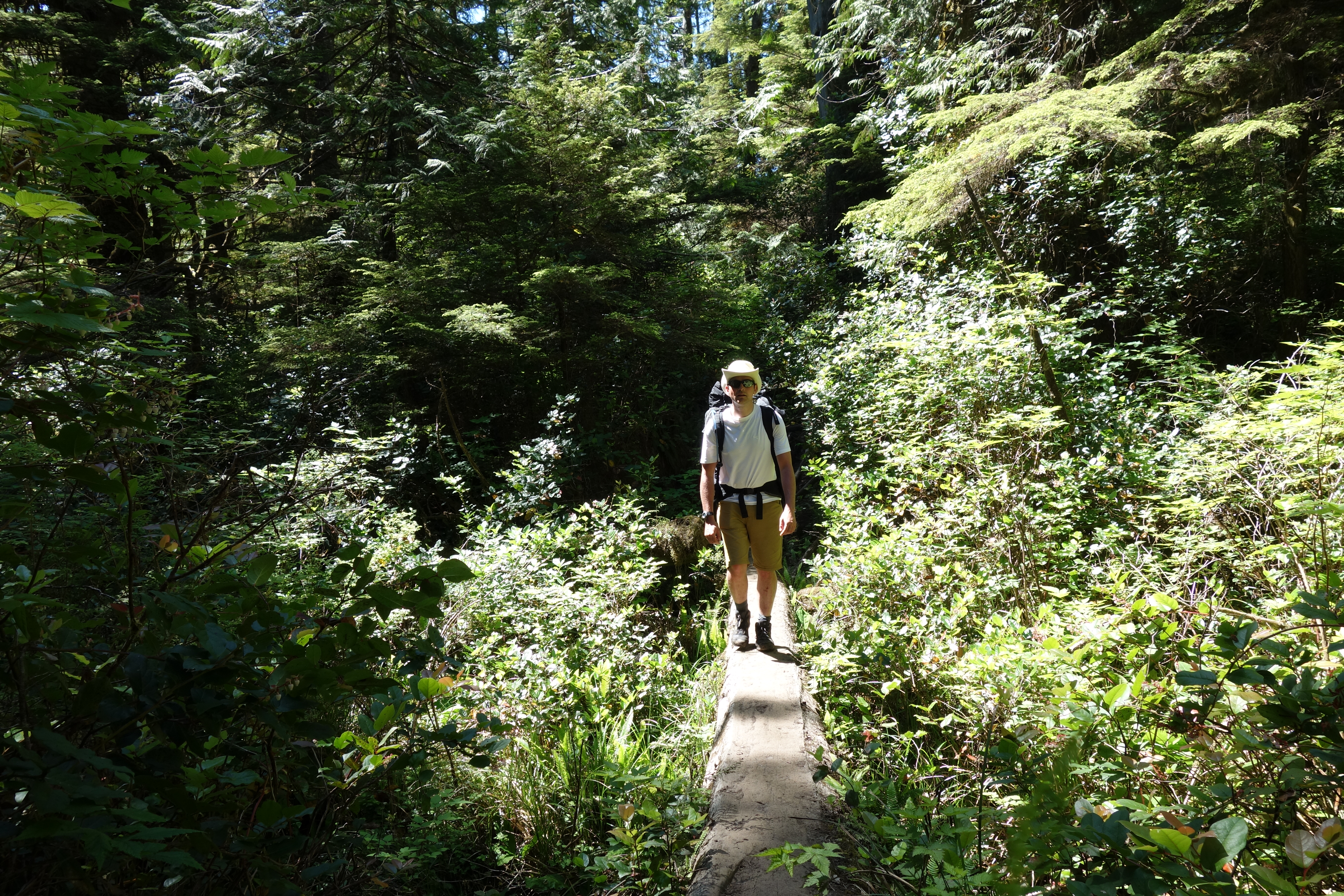 West Coast Trail — D5 — Cullite Creek Camp → Thrasher Cove Camp