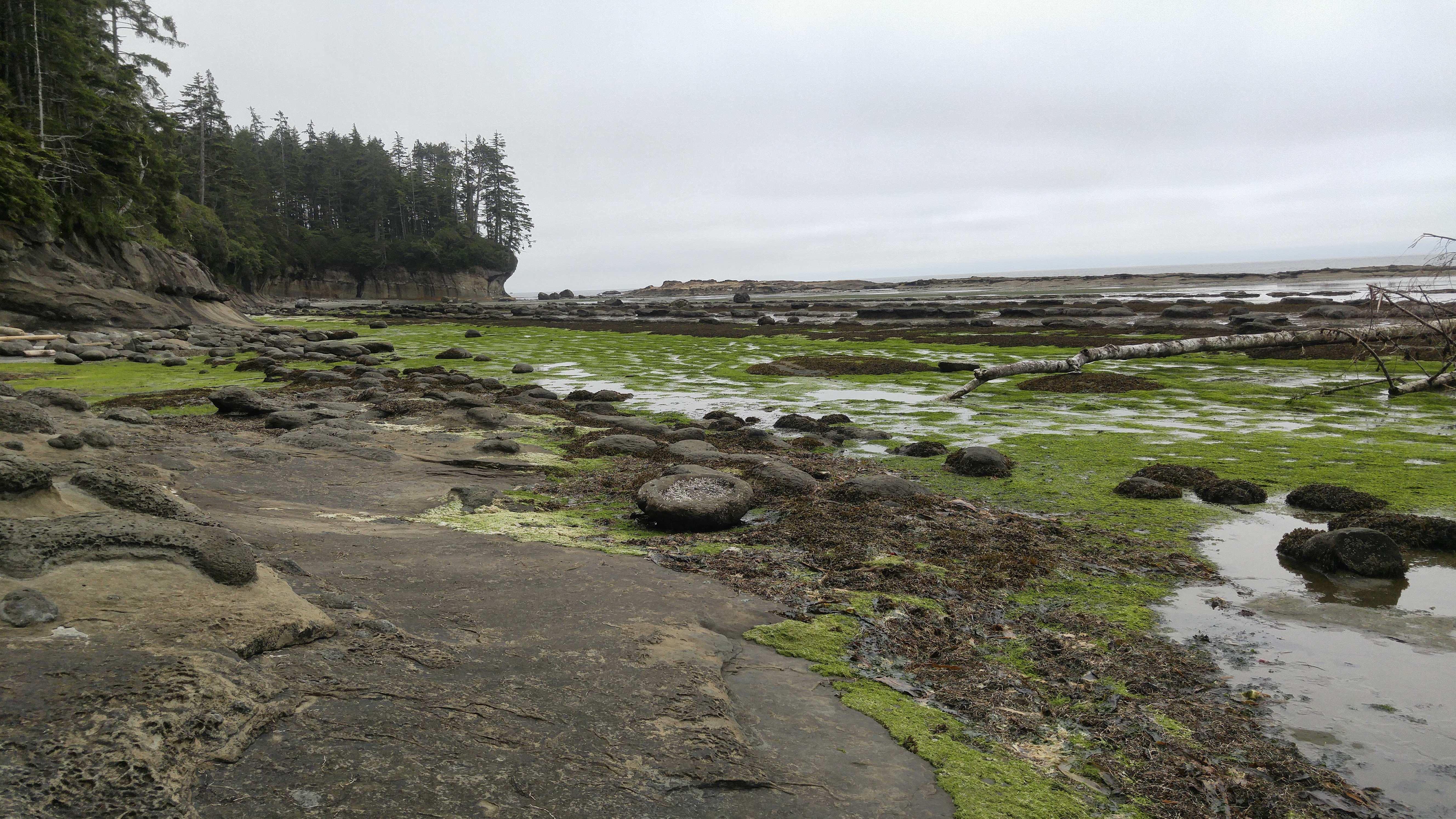 West Coast Trail — D5 — Cullite Creek Camp → Thrasher Cove Camp