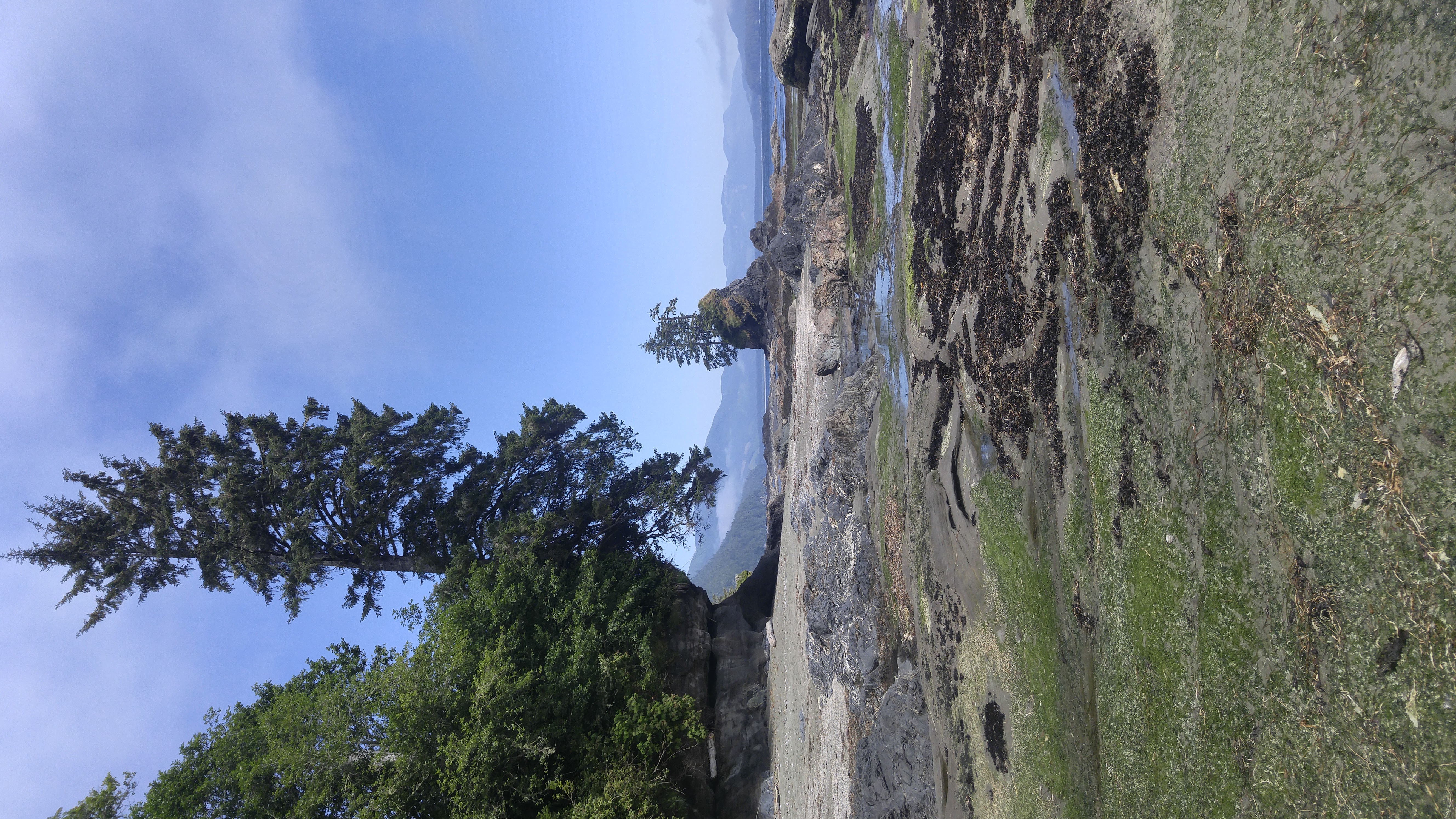 West Coast Trail — D5 — Cullite Creek Camp → Thrasher Cove Camp