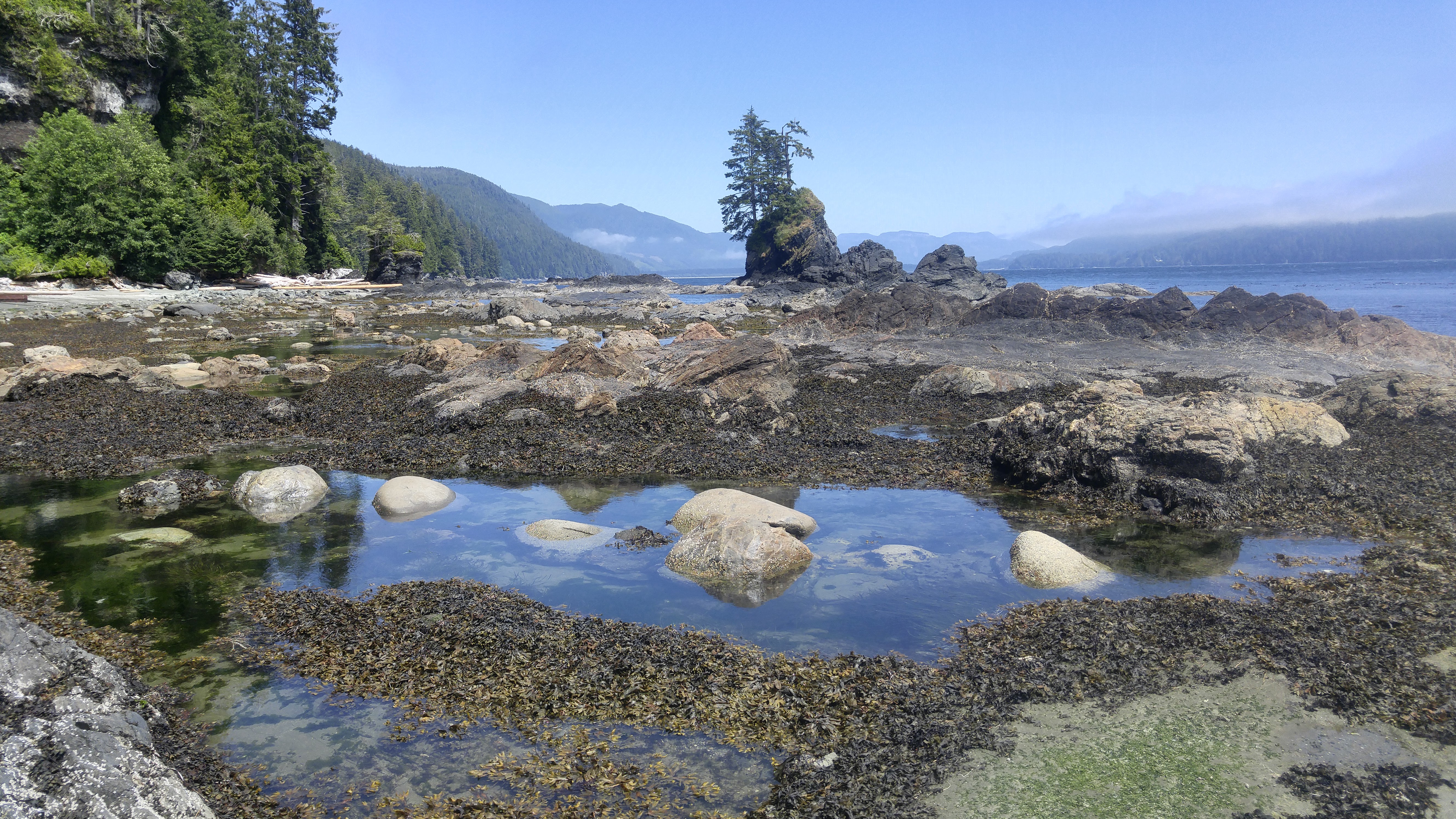 West Coast Trail — D5 — Cullite Creek Camp → Thrasher Cove Camp