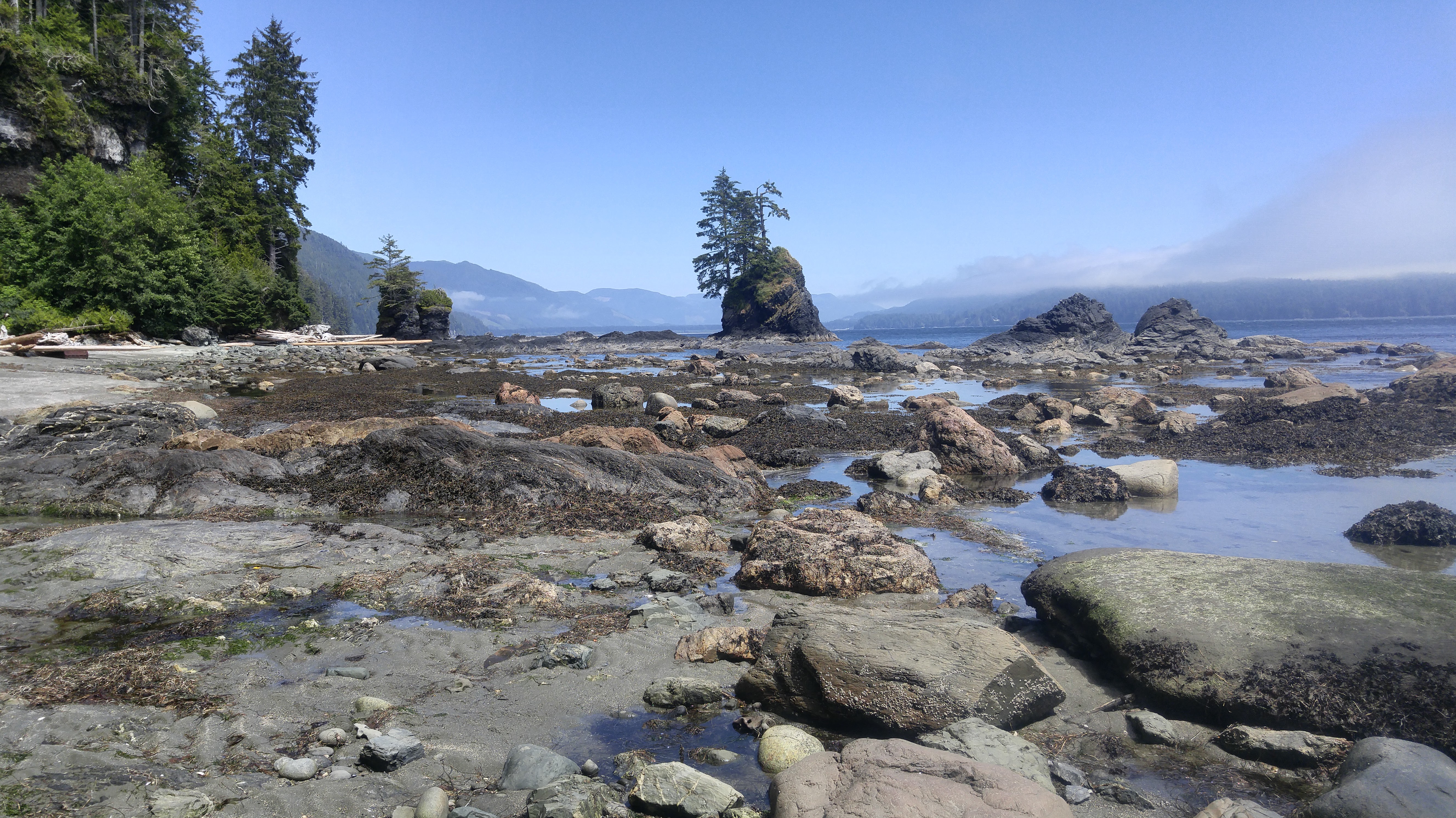 West Coast Trail — D5 — Cullite Creek Camp → Thrasher Cove Camp