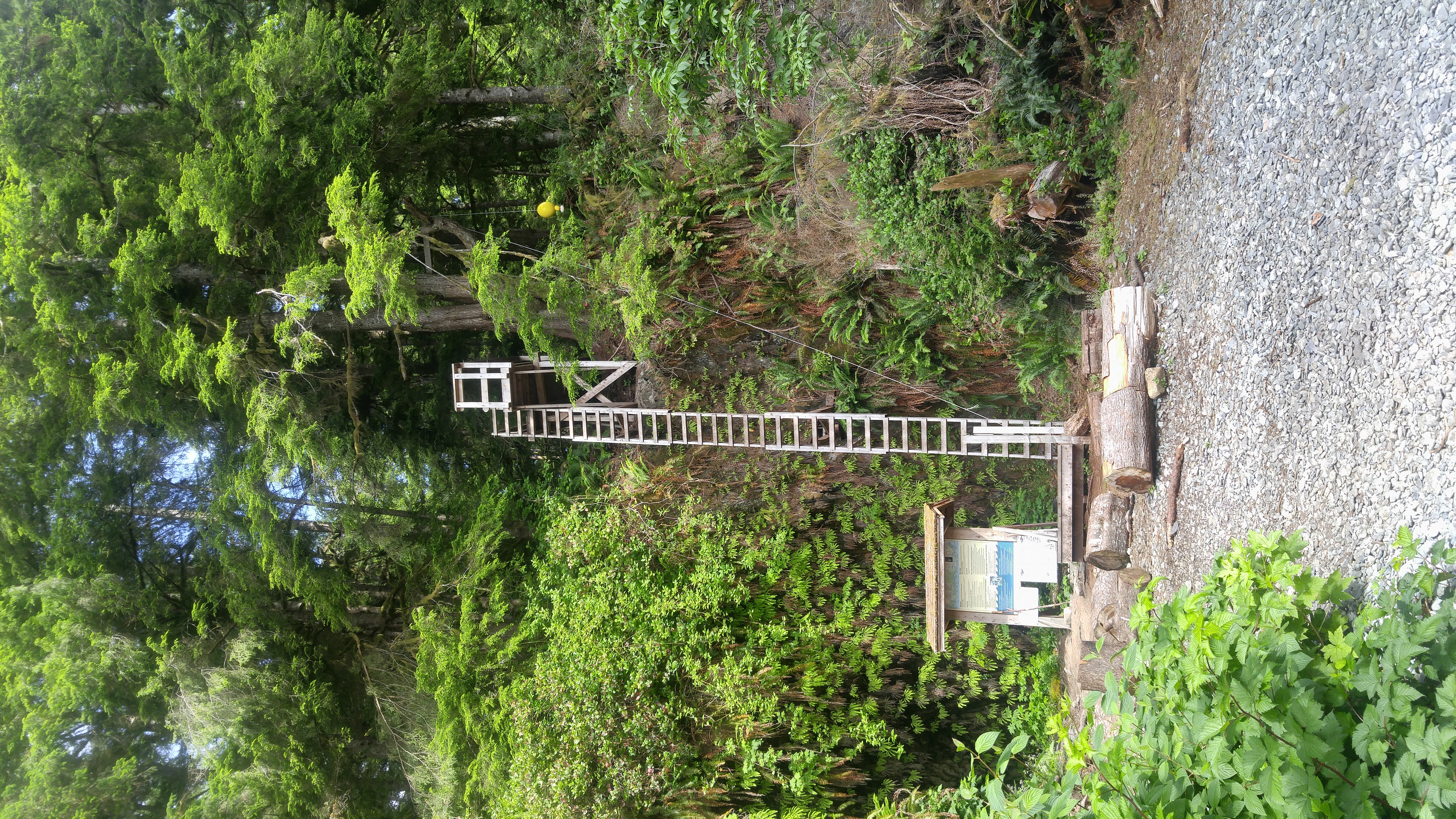 West Coast Trail — D6 — Thrasher Cove Camp → Port Renfrew