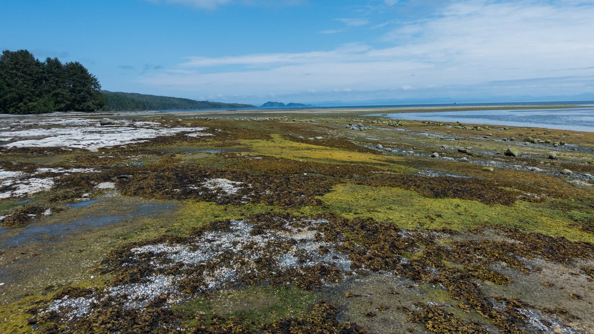 North Coast Trail — D1 — Shushartie Bay → Cape Sutil