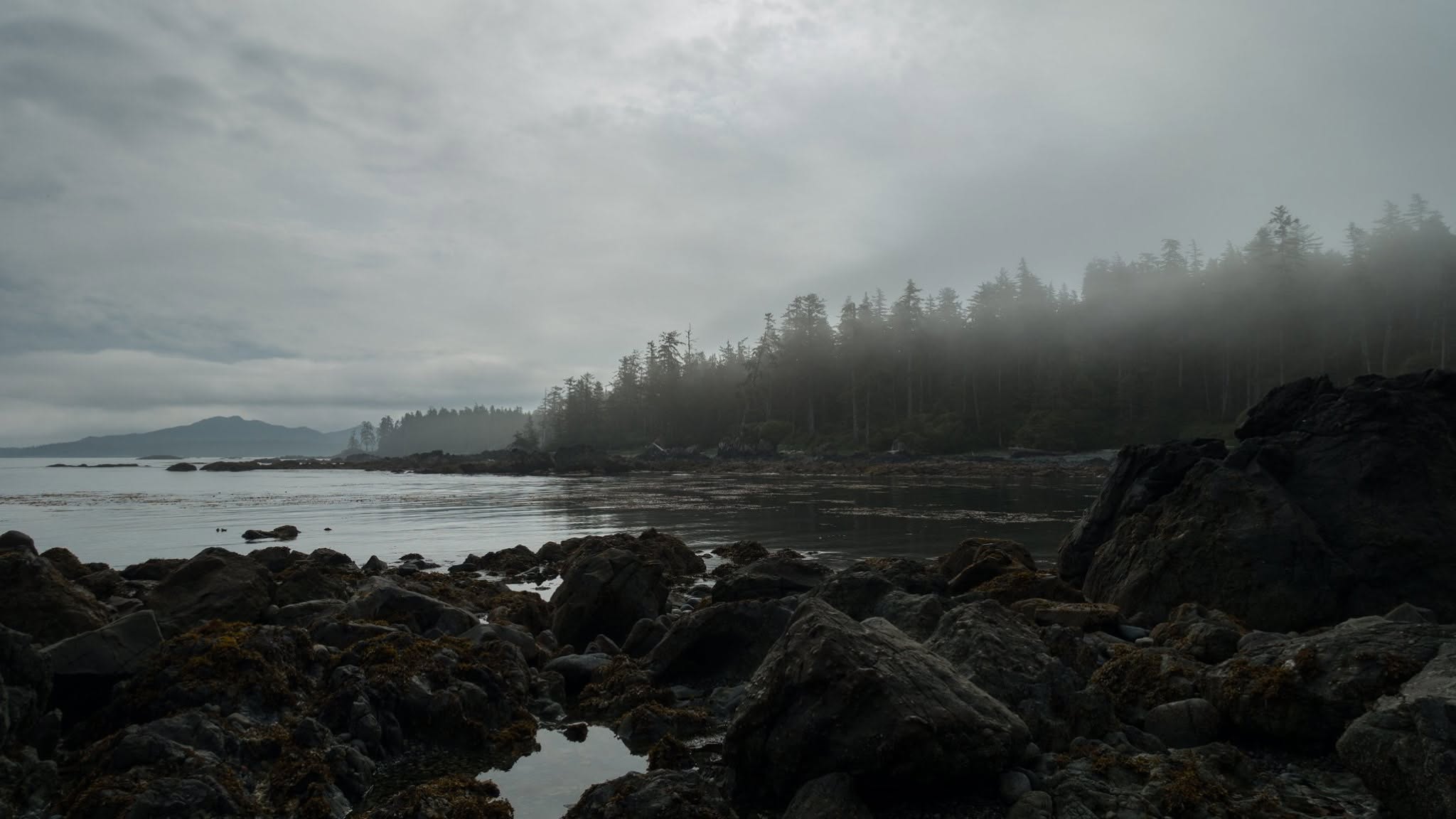North Coast Trail — D2 — Cape Sutil → Laura Creek
