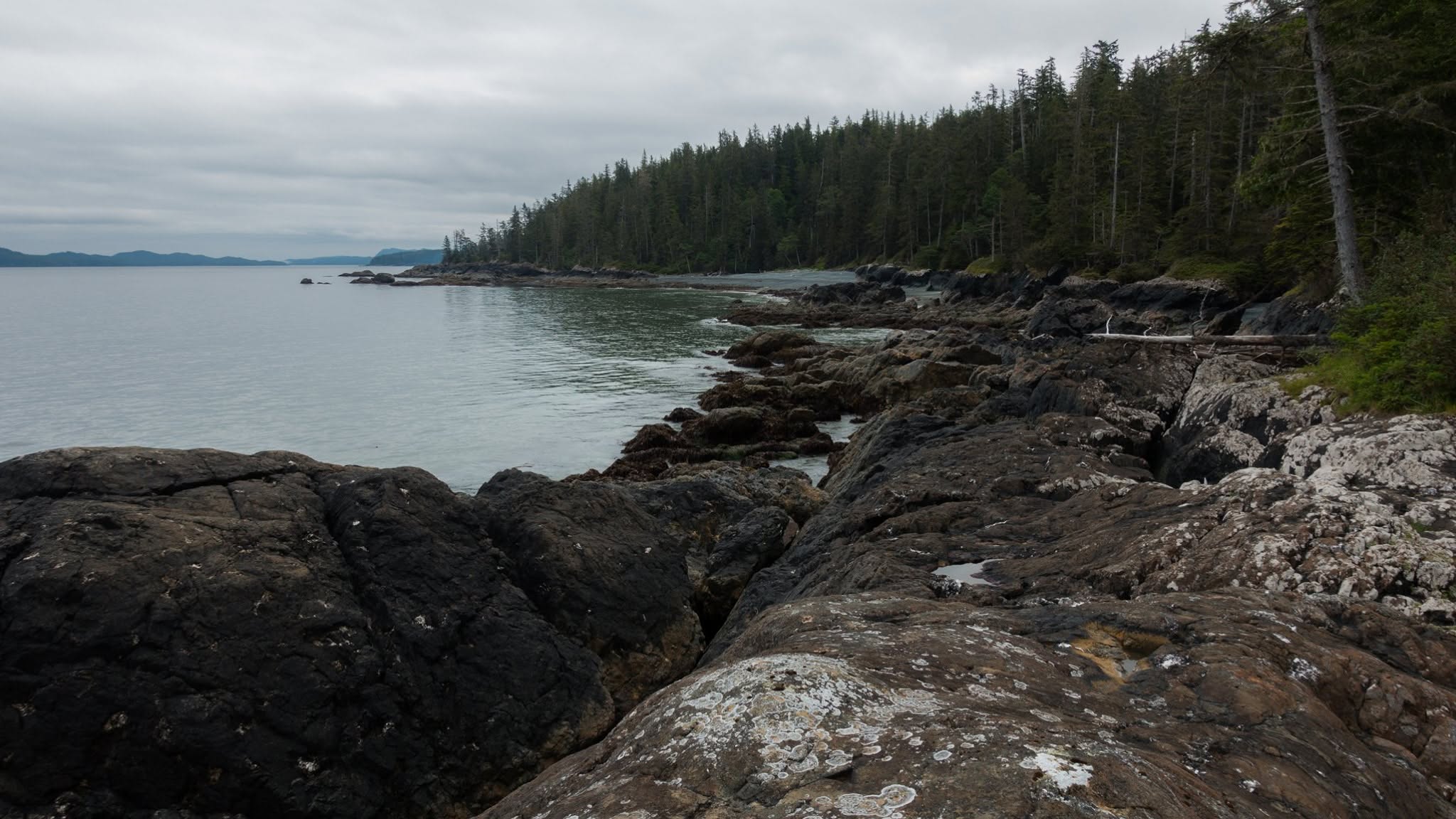 North Coast Trail — D2 — Cape Sutil → Laura Creek