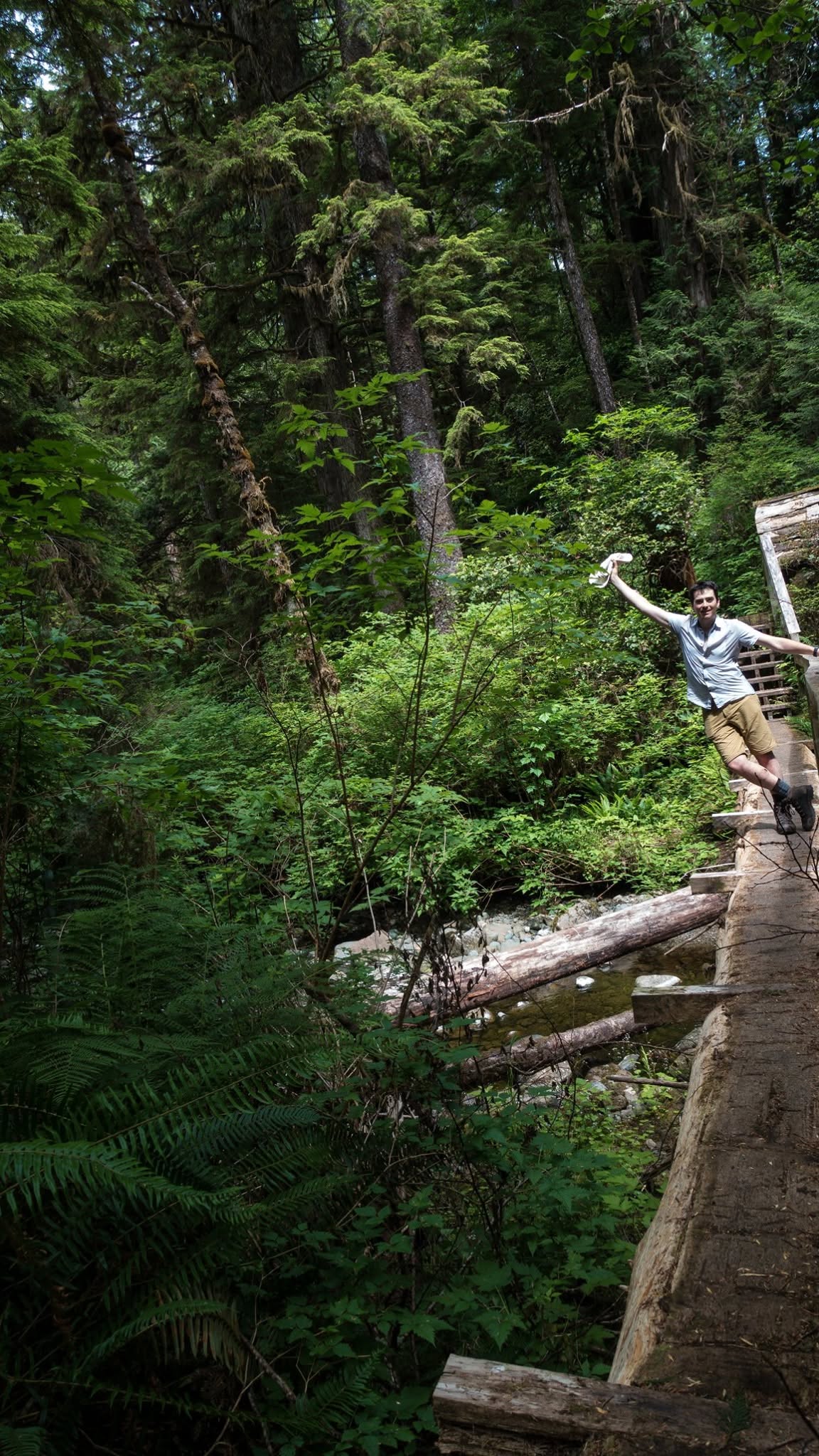 North Coast Trail — D3 — Laura Creek → Nissen Bight