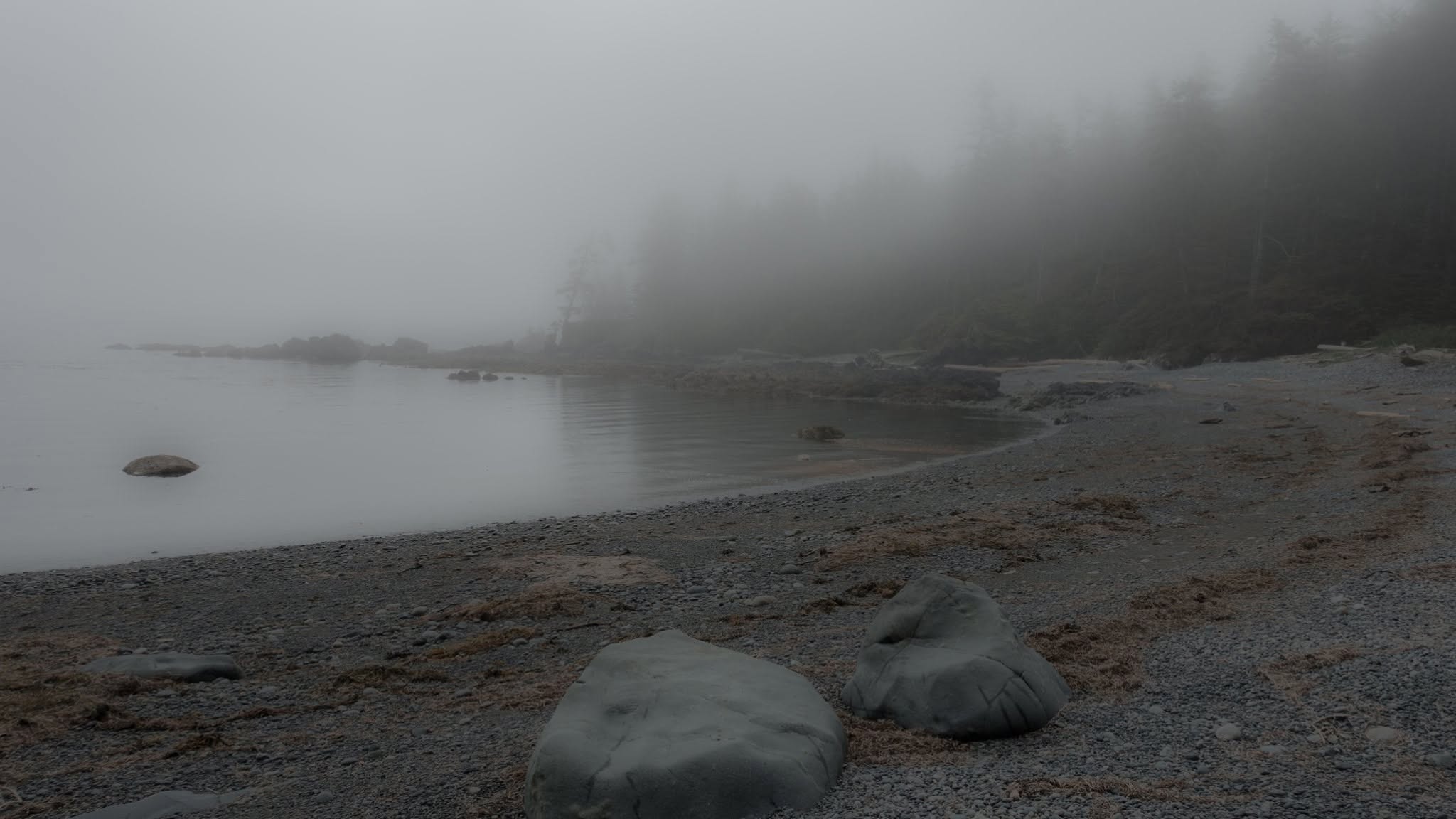 North Coast Trail — D3 — Laura Creek → Nissen Bight