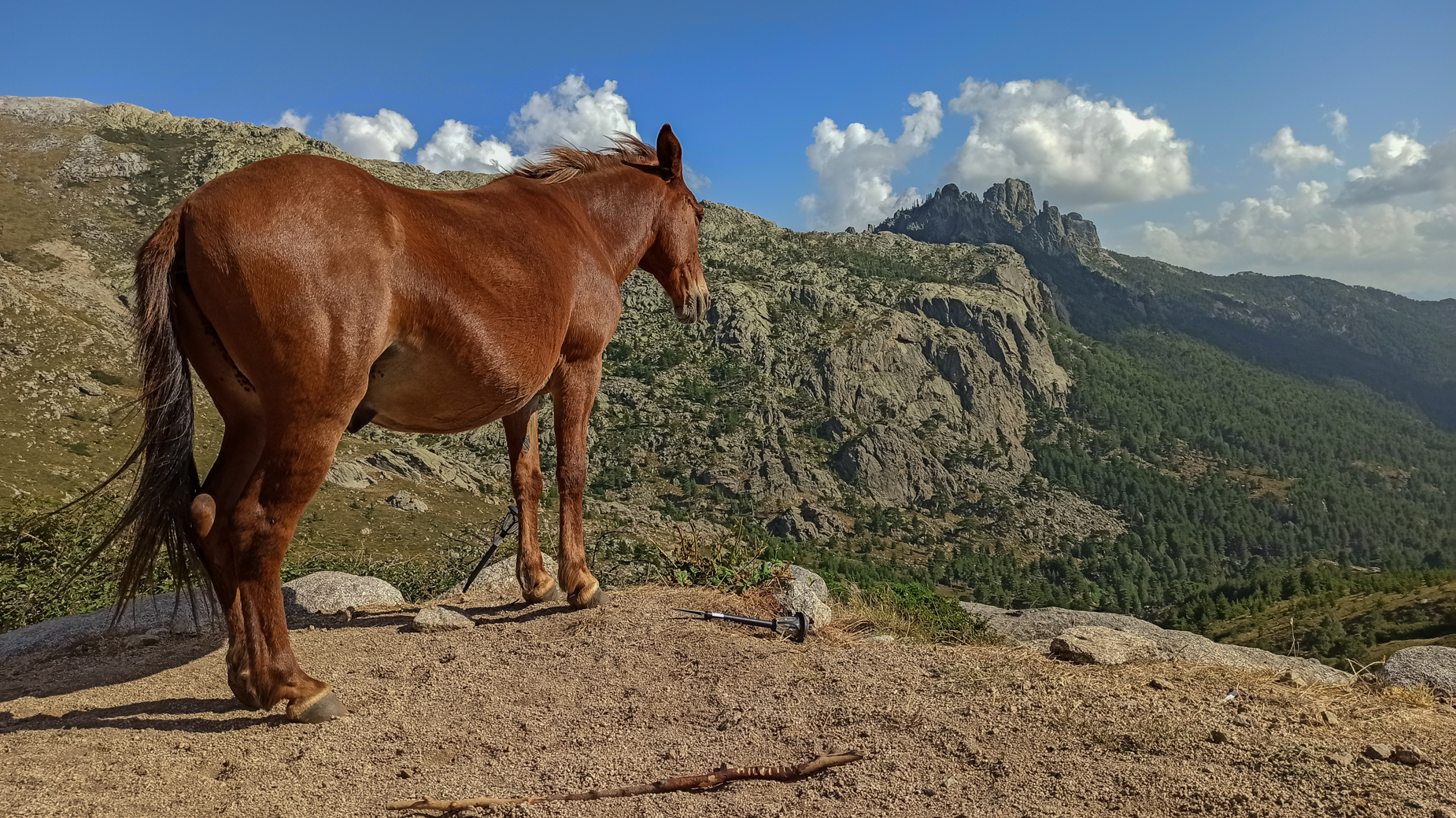GR20 par les sommets — D2 — Paliri → Bavella → Asinau