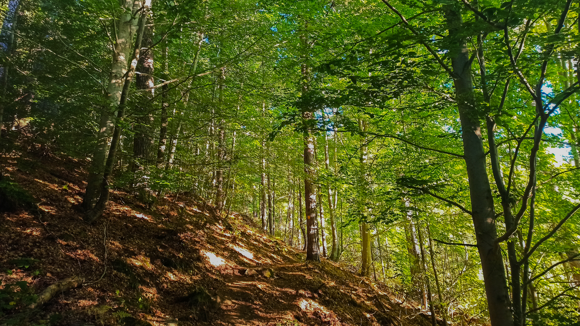 GR20 par les sommets — D6 — Vizzavona → Monte d'Oro → Petra