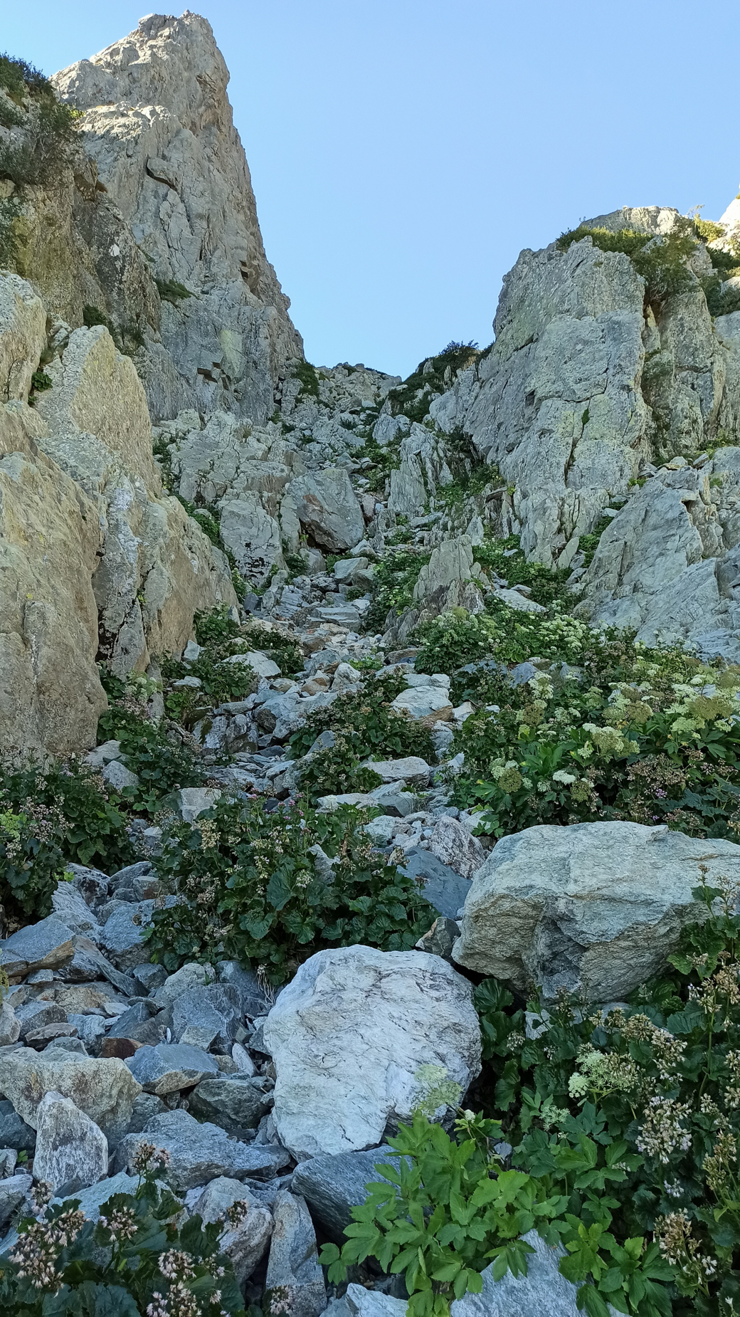 GR20 par les sommets — D6 — Vizzavona → Monte d'Oro → Petra