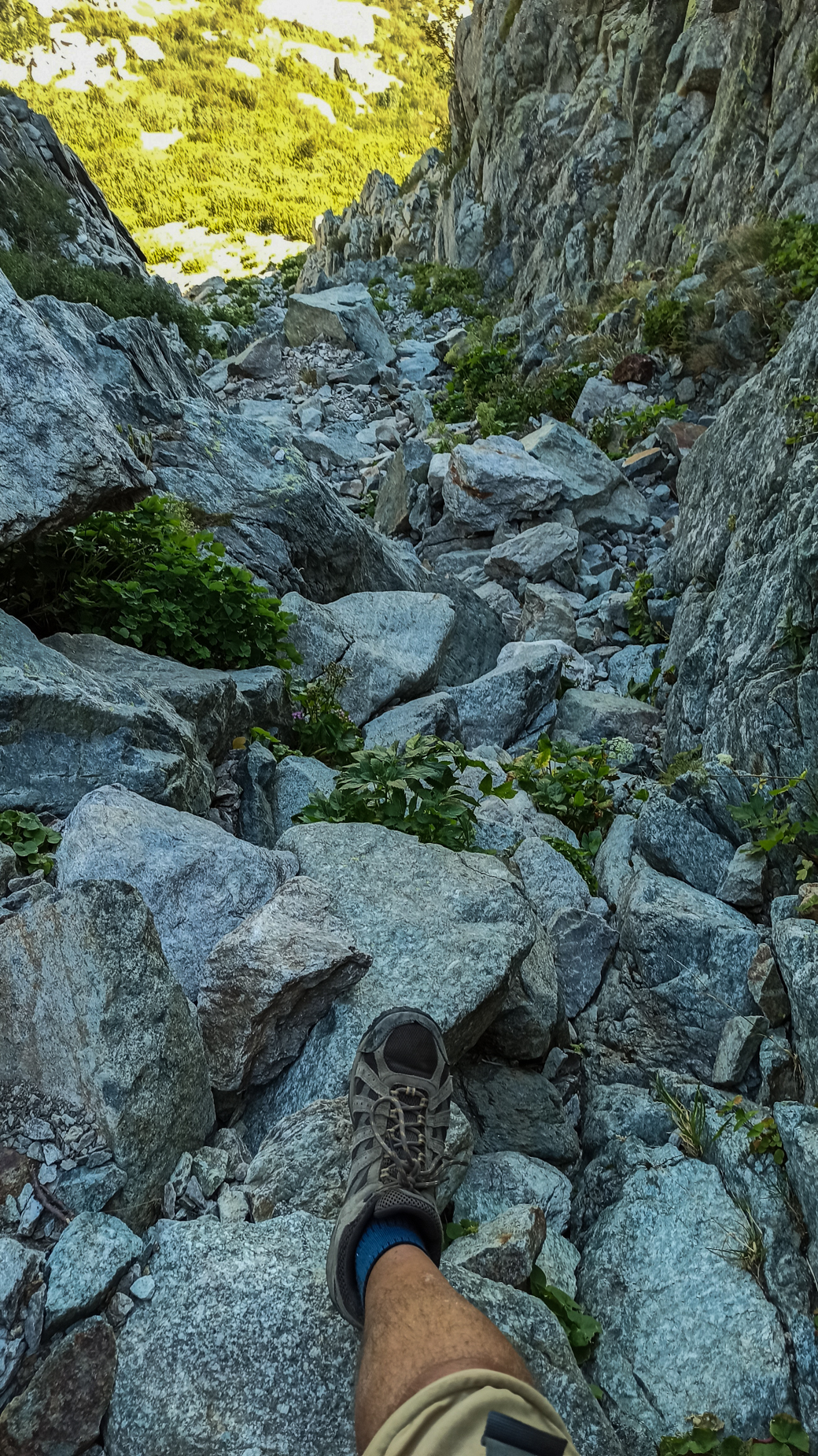 GR20 par les sommets — D6 — Vizzavona → Monte d'Oro → Petra