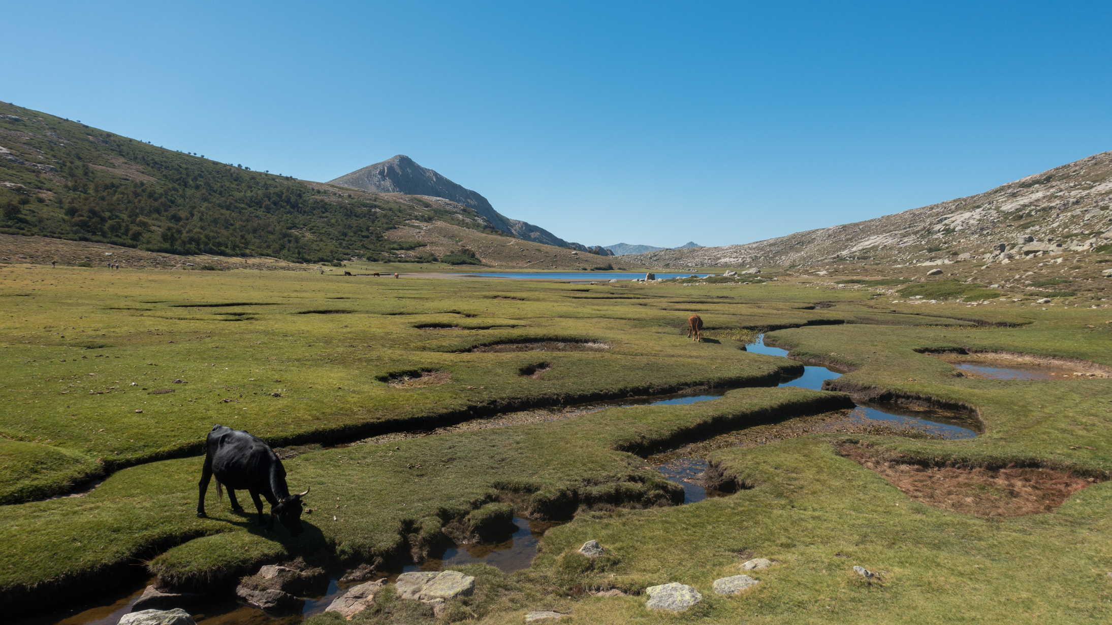 GR20 par les sommets — D8 — Bettaniella → Castel de Vergio