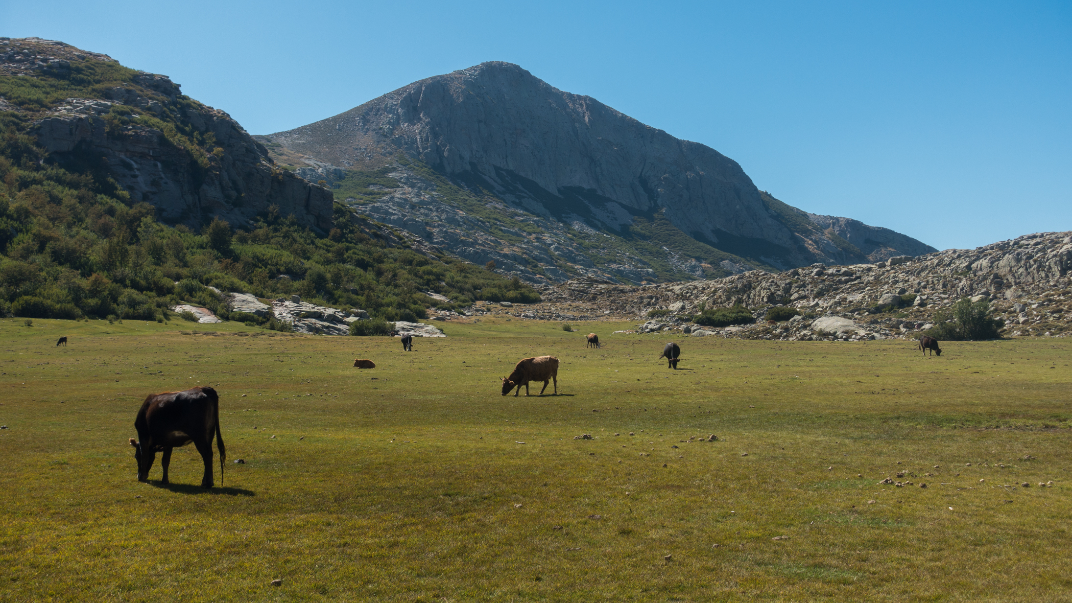 GR20 par les sommets — D8 — Bettaniella → Castel de Vergio