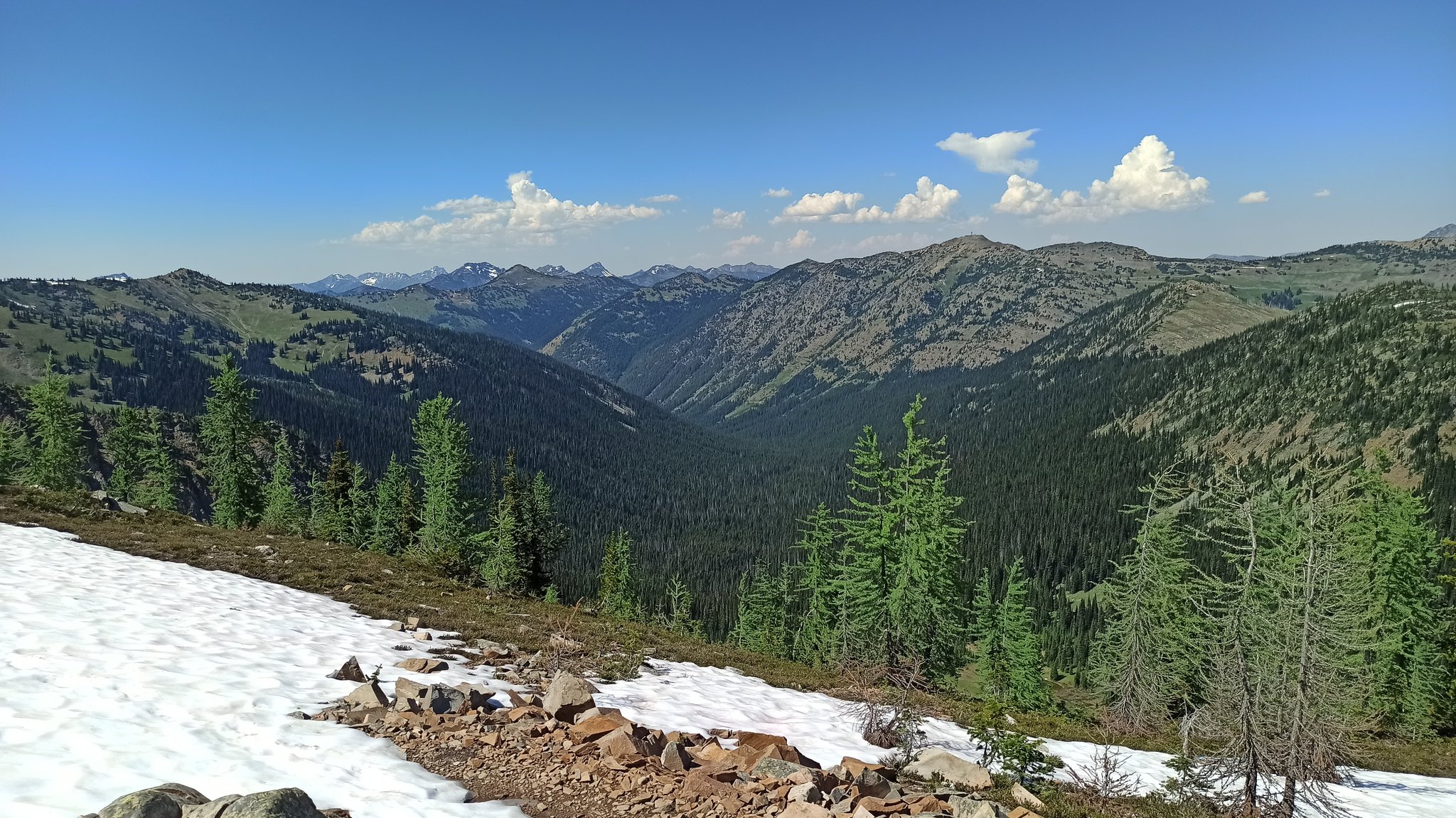PCT — Washington — D4 — 29 juin