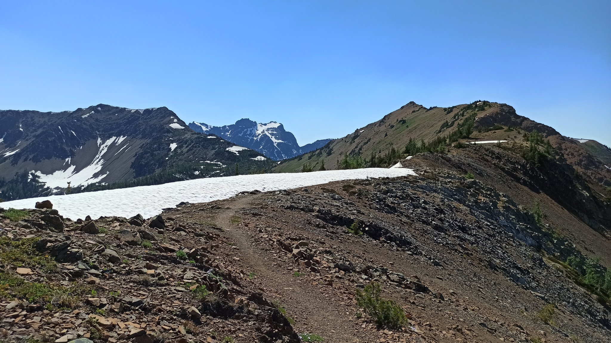 PCT — Washington — D4 — 29 juin