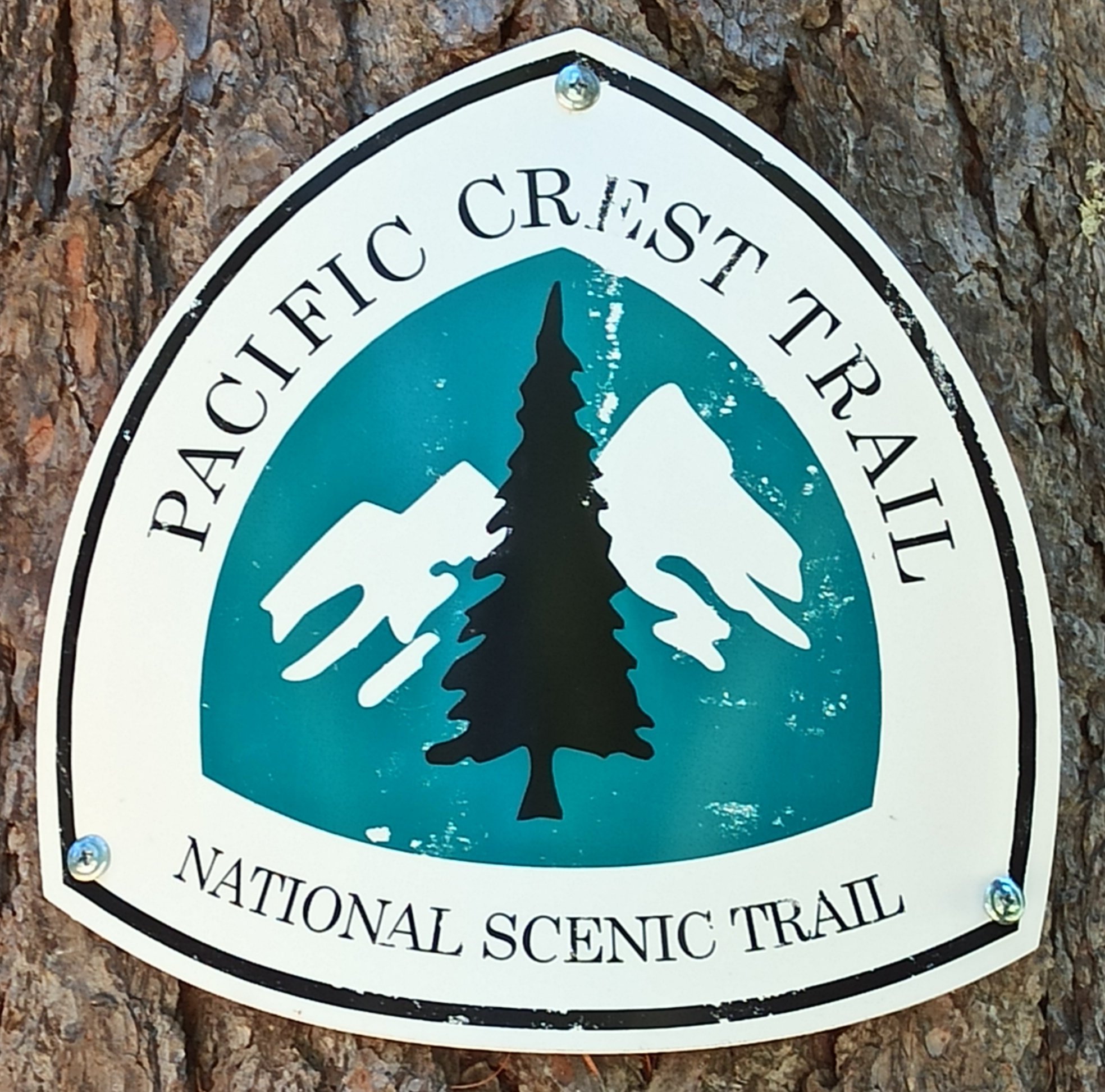 PCT — Washington — D7 — 2 juillet