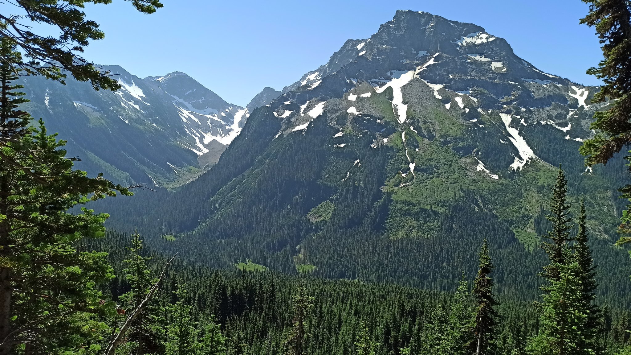 PCT — Washington — D8 — 4 juillet