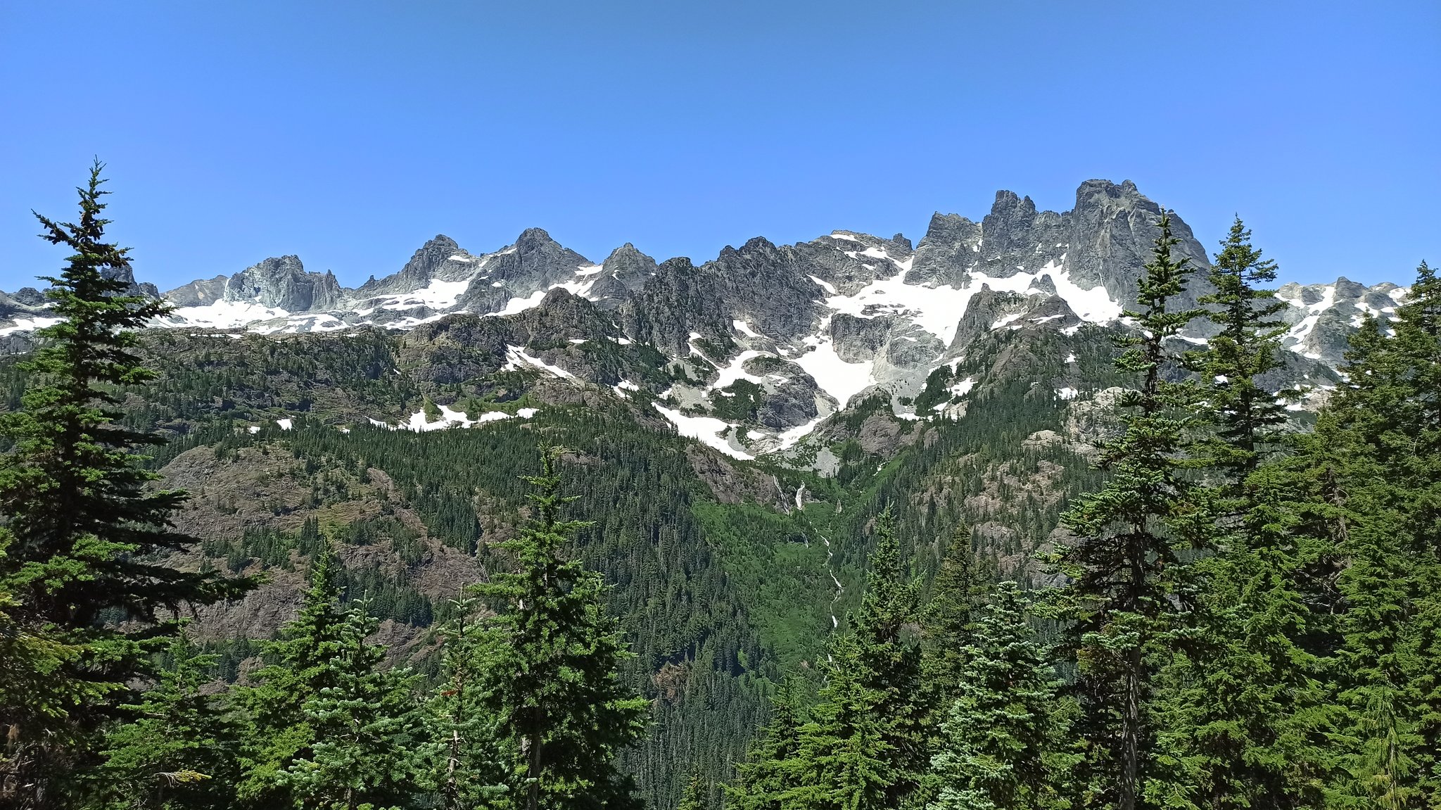 PCT — Washington — D15 — 11 juillet
