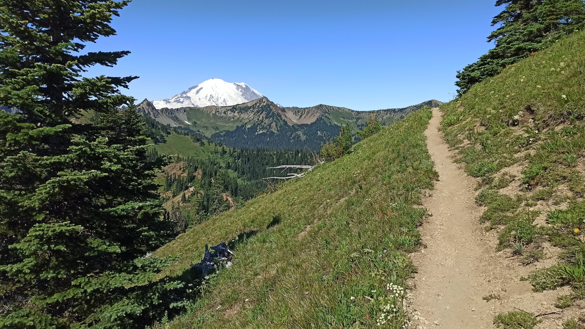 PCT — Washington — D19 — 15 juillet