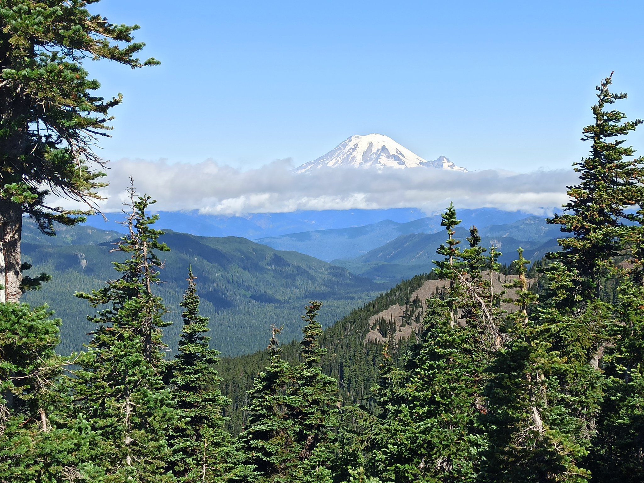 PCT — Washington — D21 — 17 juillet