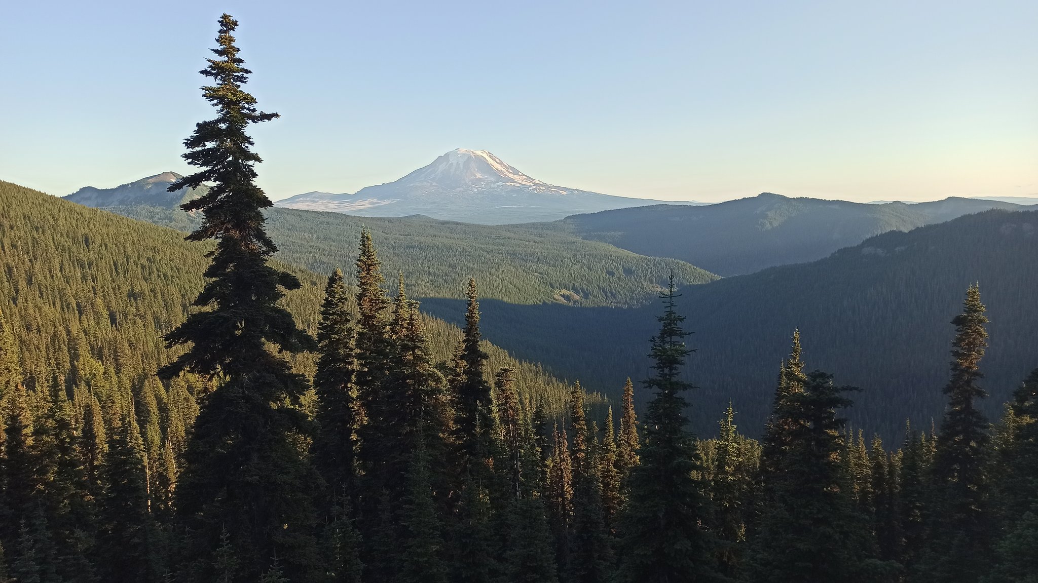 PCT — Washington — D21 — 17 juillet