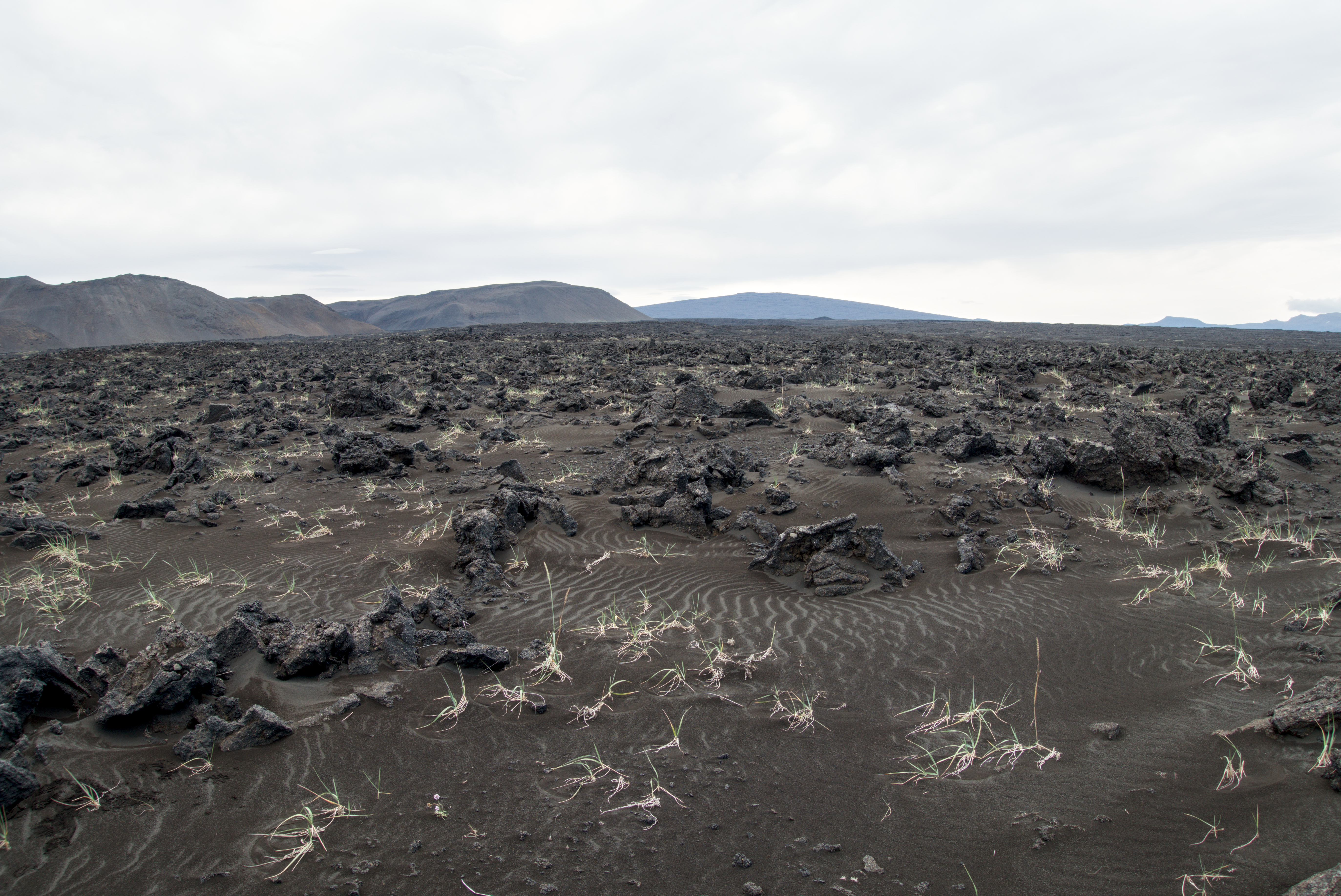 Traversée de l'Islande — D3 — Hallagil → Bræðrafell